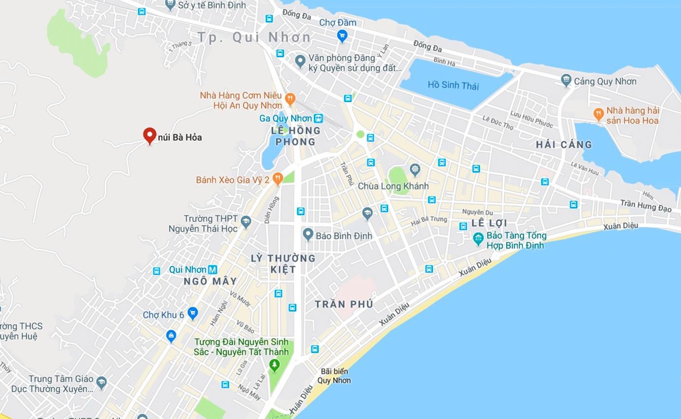 Cháy rừng ở Quy Nhơn ảnh 3 Chay rung o Quy Nhon anh 3