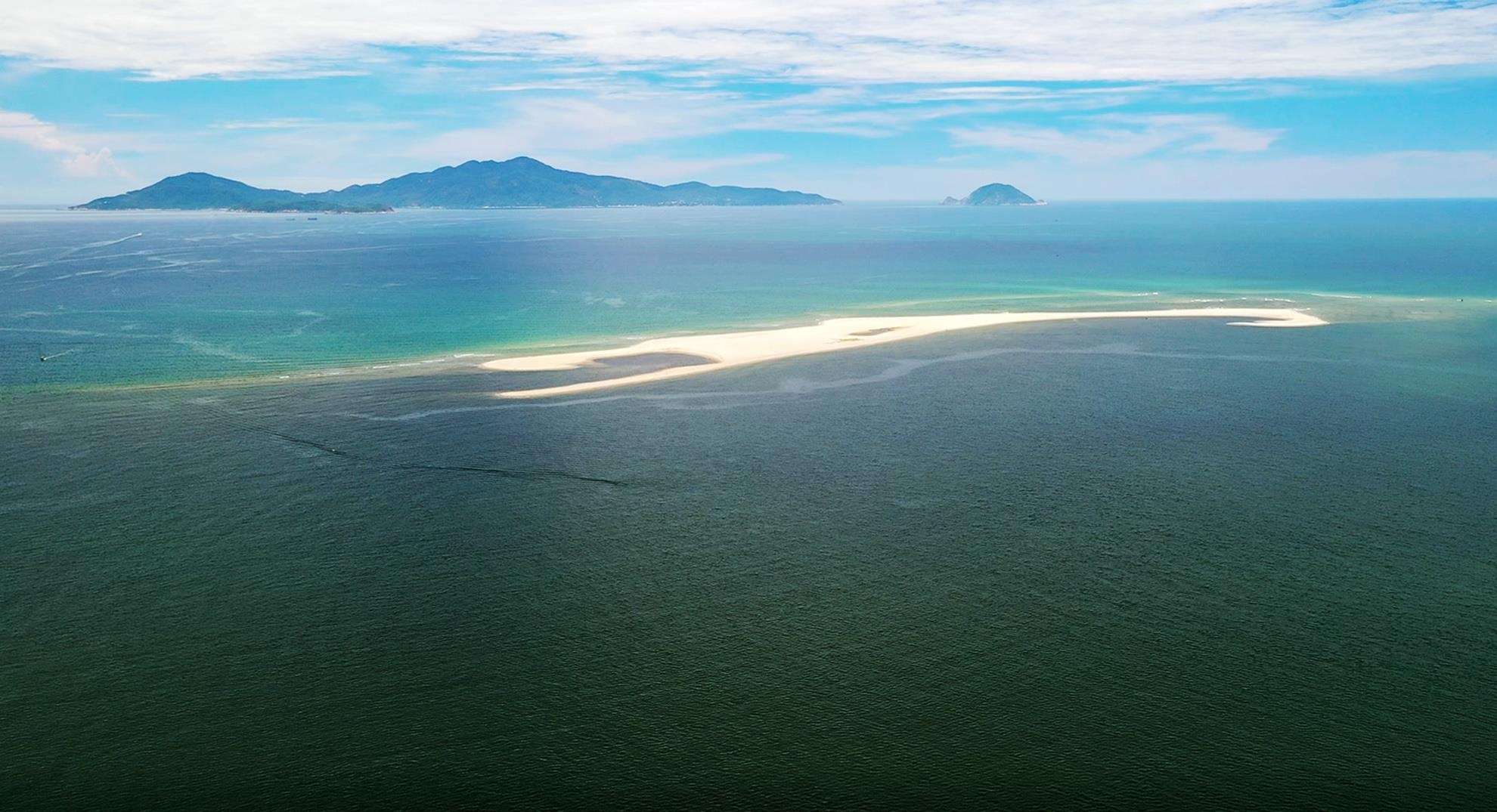 Con cat moi noi Hoi An anh 8