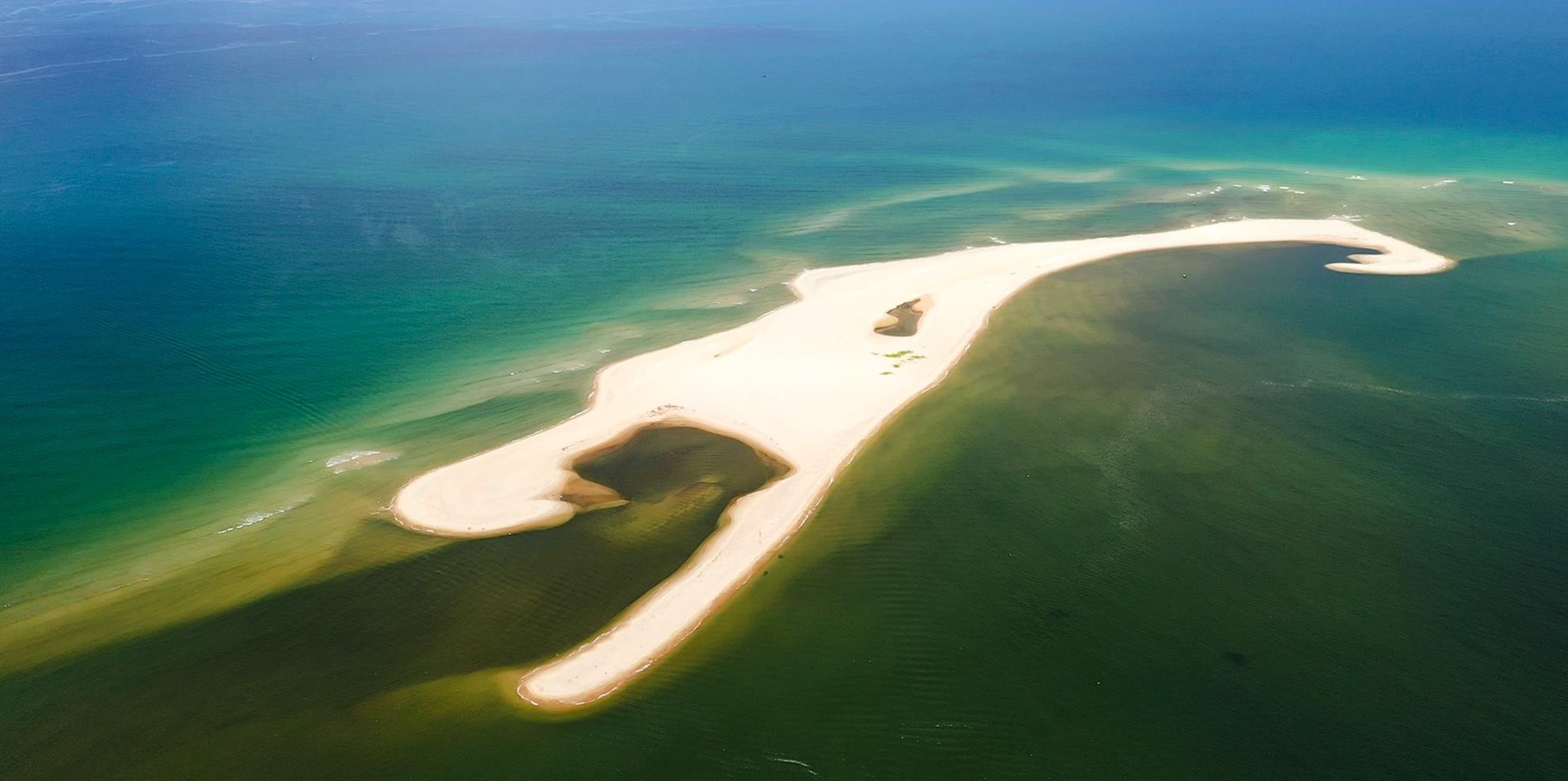 Con cat moi noi Hoi An anh 9