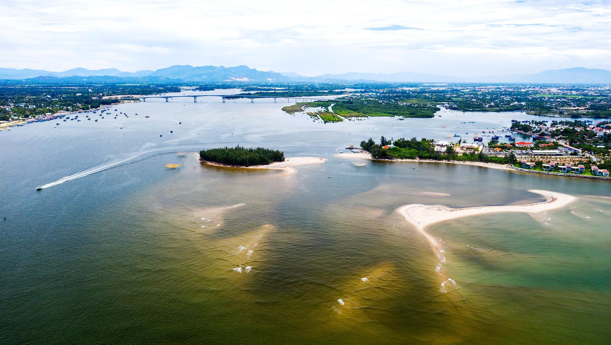 Con cat moi noi Hoi An anh 2