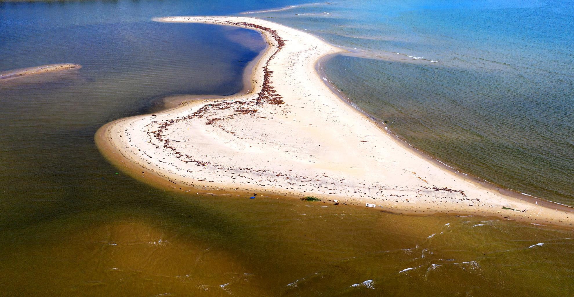 Con cat moi noi Hoi An anh 4