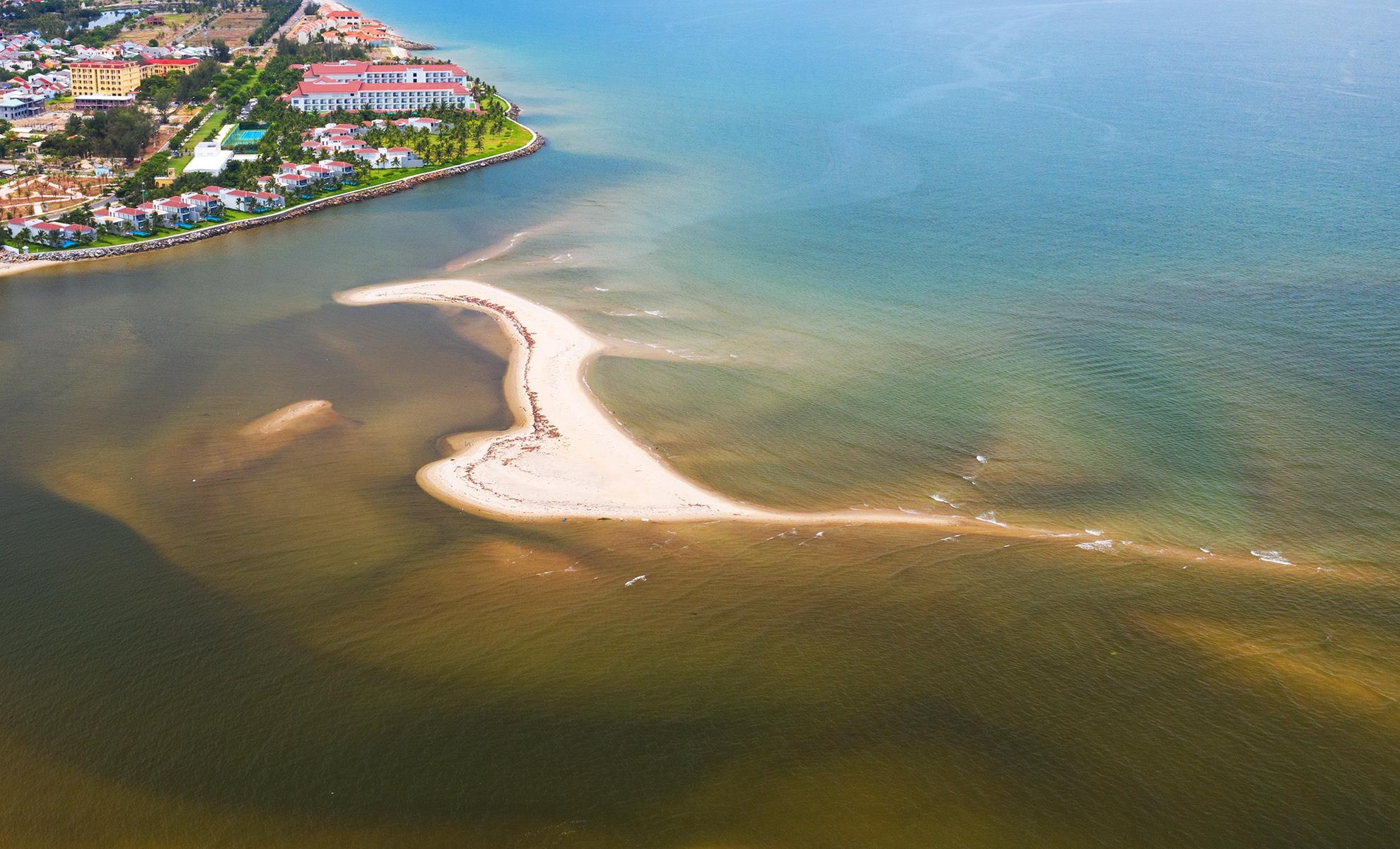 Con cat moi noi Hoi An anh 6