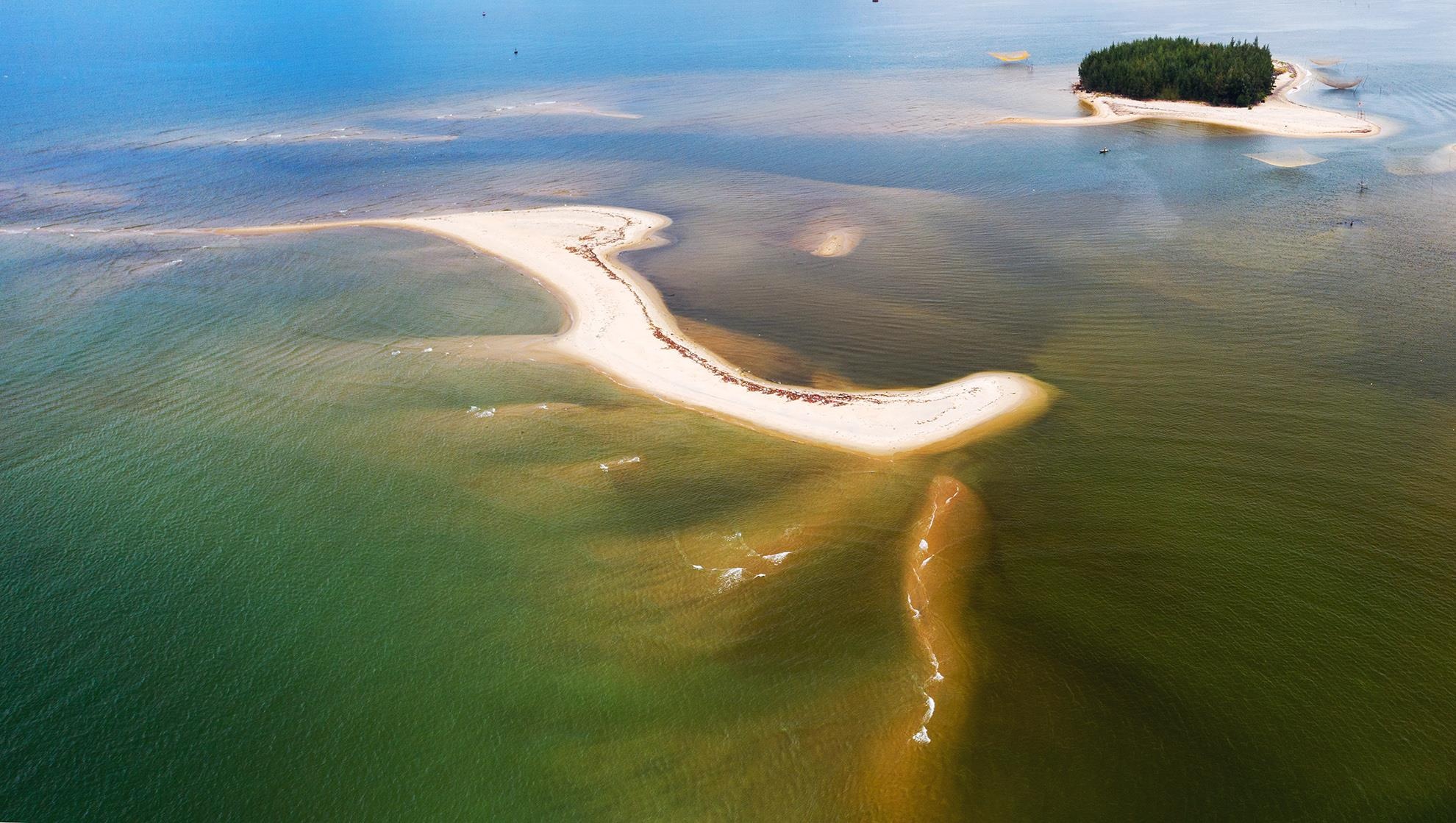 Con cat moi noi Hoi An anh 7