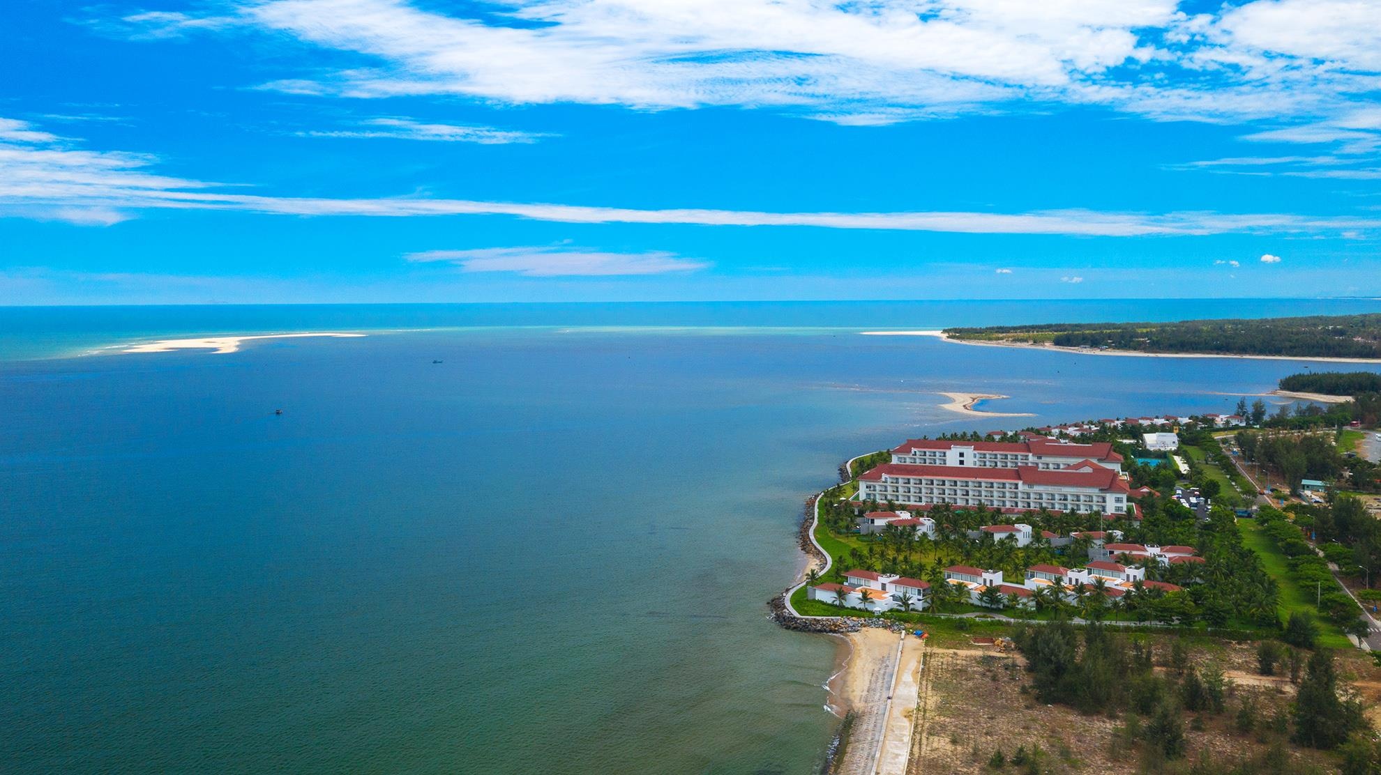 Con cat moi noi Hoi An anh 1