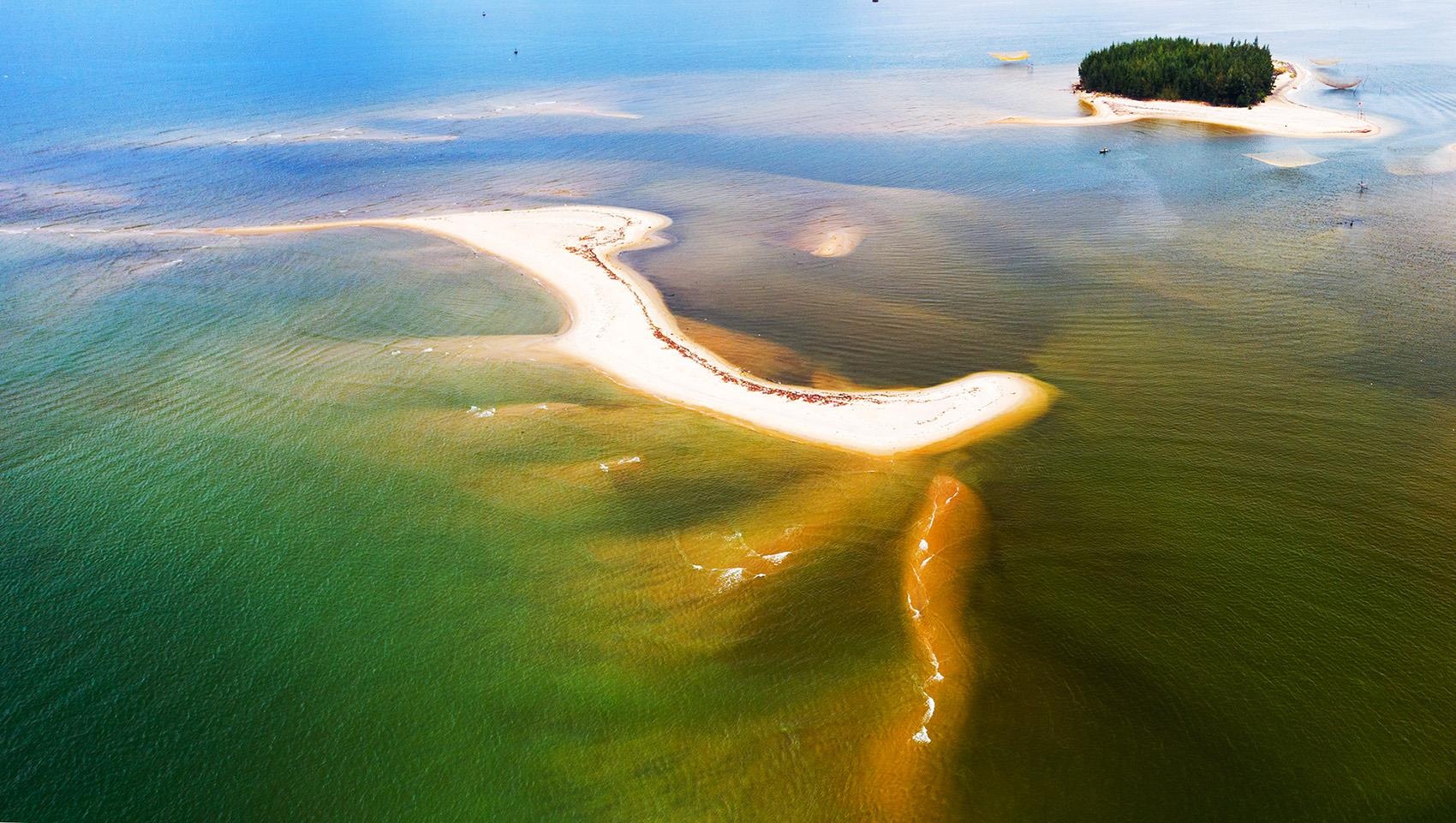 Con cat co hinh thu ky la moi xuat hien tren bien Hoi An hinh anh