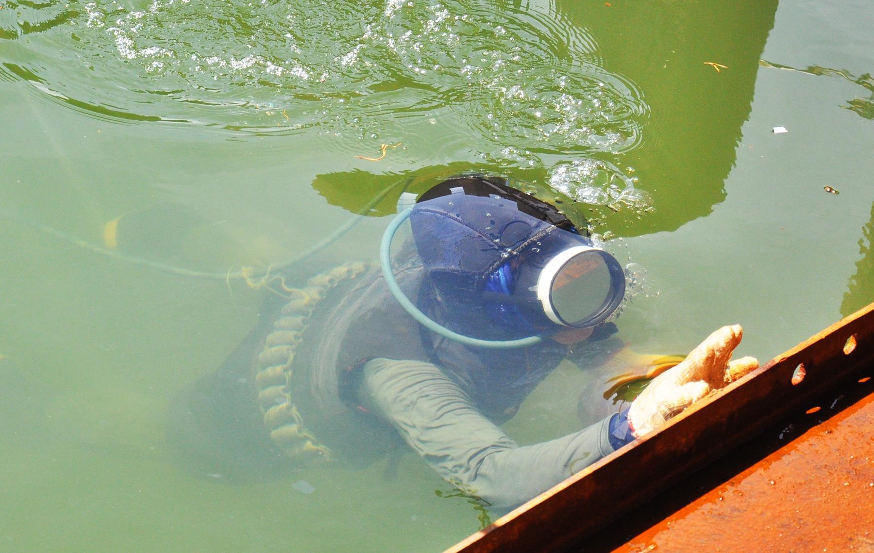 Khai quật tàu cổ Quảng Ngãi ảnh 1 Khai quat tau co Quang Ngai anh 1