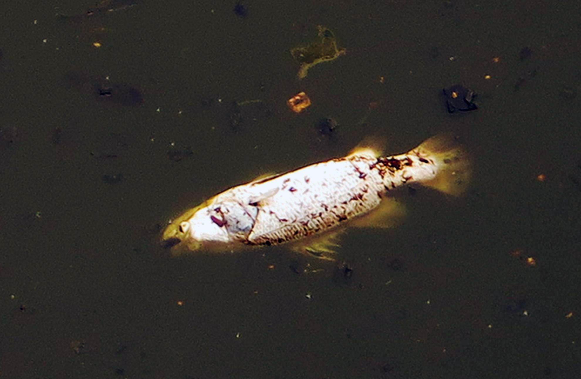 tau cho 30.000 lit dau boc chay anh 6