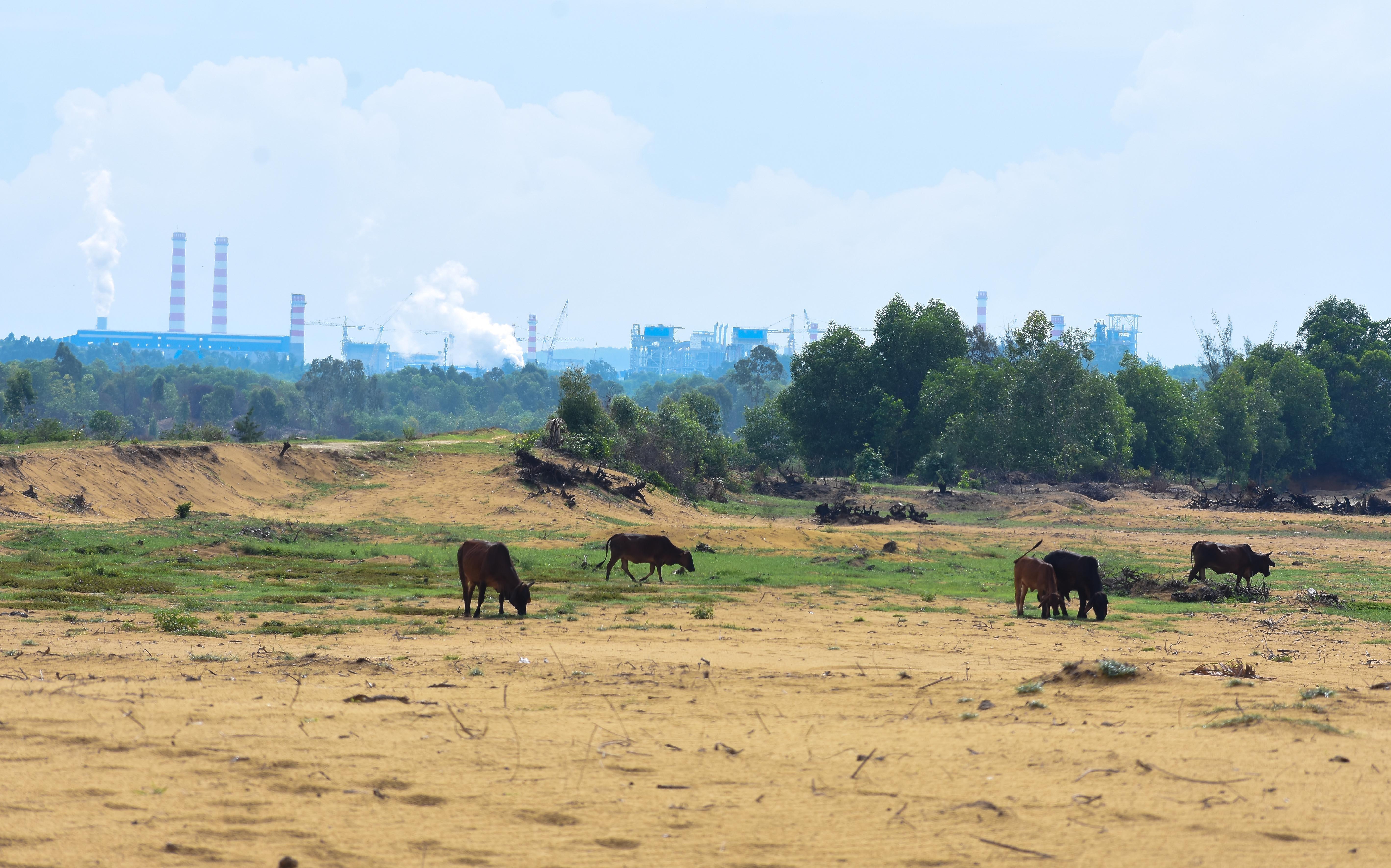 Hoàng Thịnh Đạt chậm trả nợ ảnh 1 Hoang Thinh Dat cham tra no anh 1
