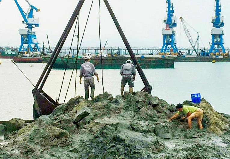 Manh vo tau co Dung Quat anh 1