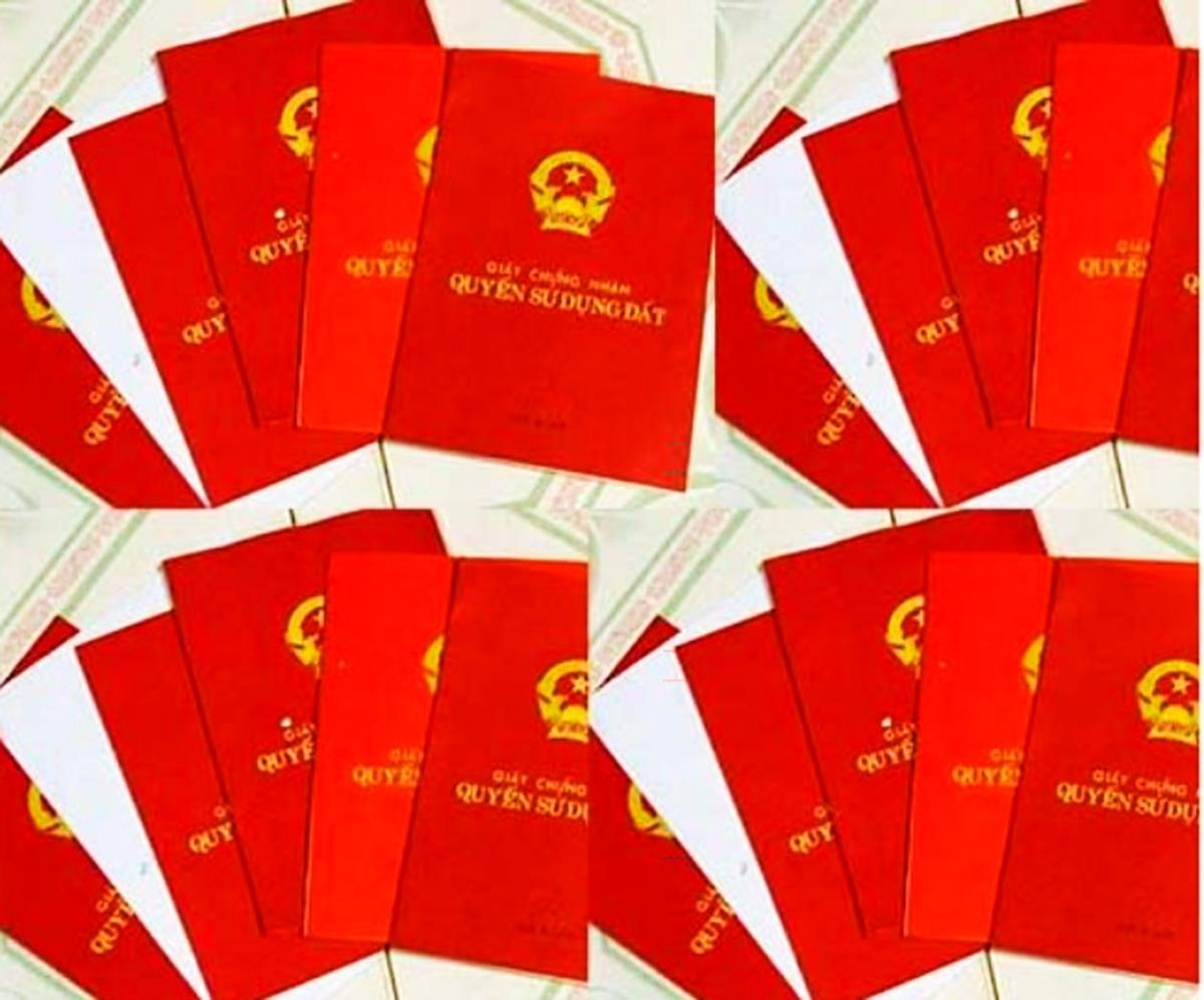 Gan 400 so do bi cap nham suot 16 nam o Quang Ngai hinh anh