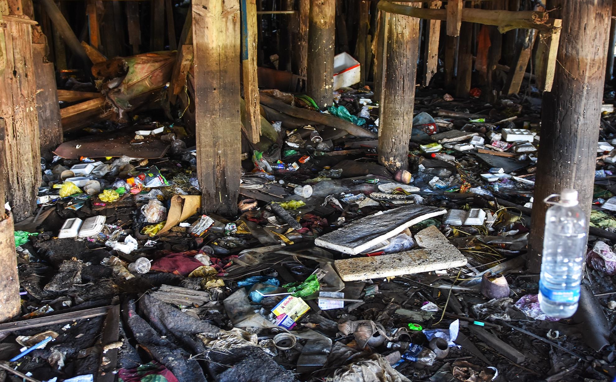 Khu o chuot o Quy Nhon anh 10