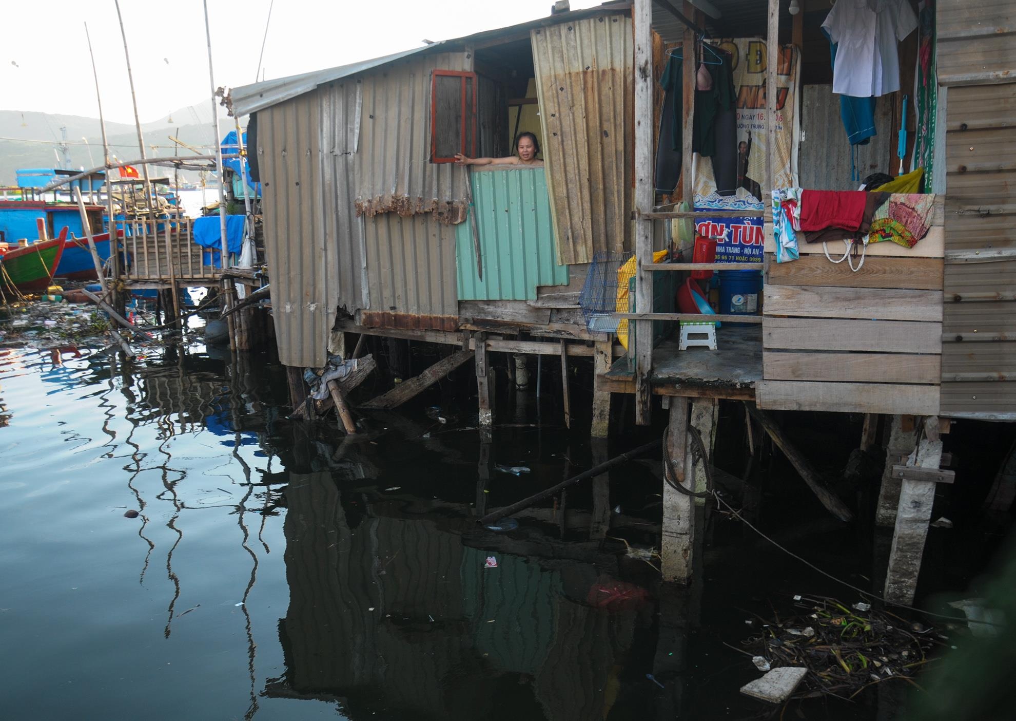 Khu o chuot o Quy Nhon anh 6