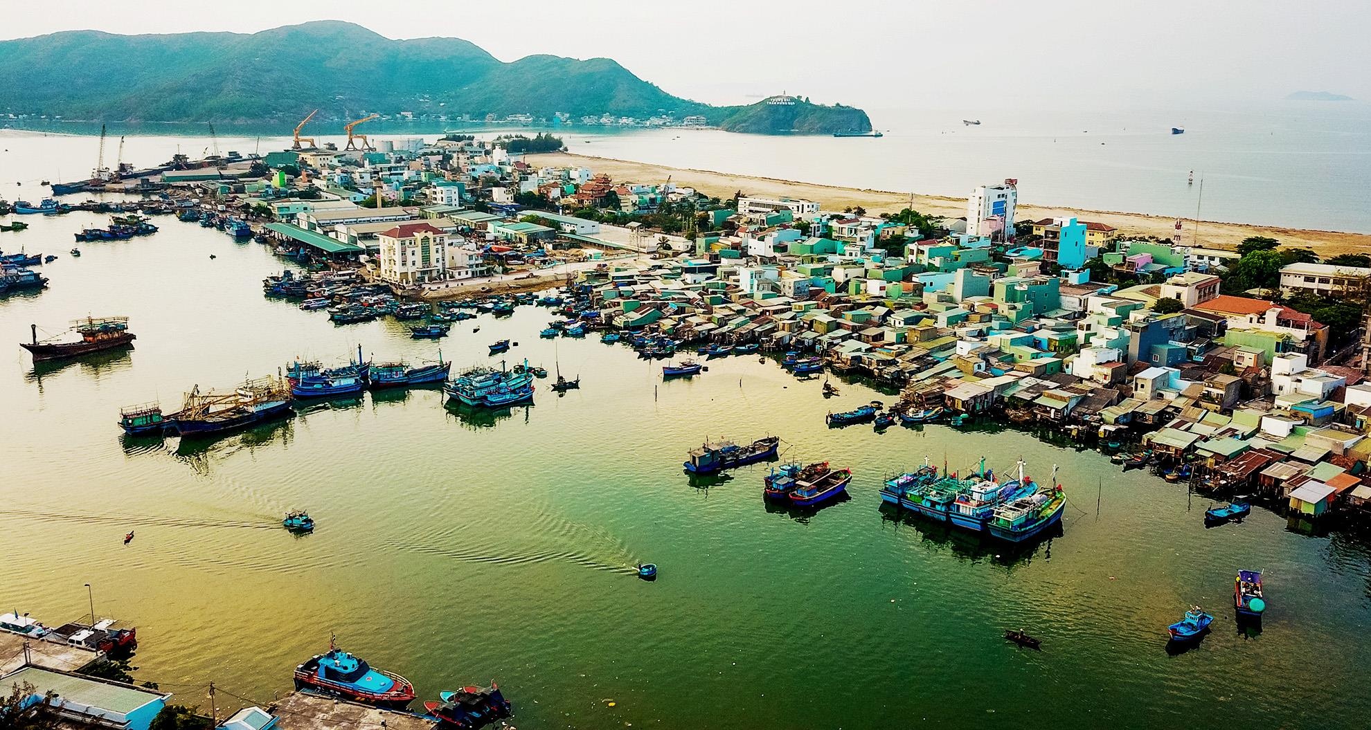 Khu o chuot o Quy Nhon anh 1