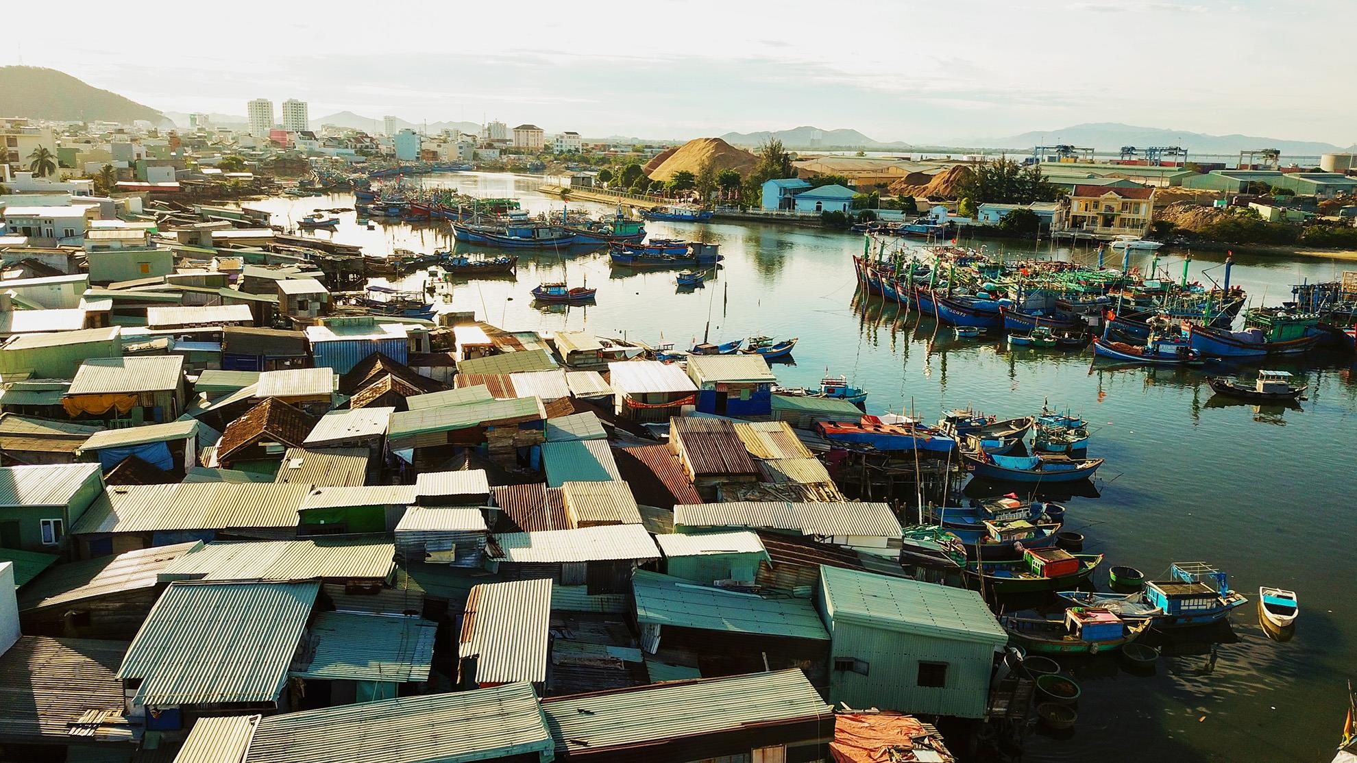 Khu o chuot o Quy Nhon anh 2