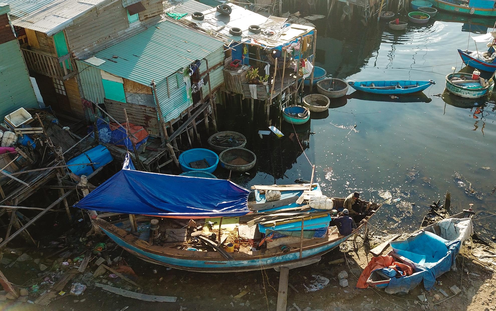 Khu o chuot o Quy Nhon anh 4