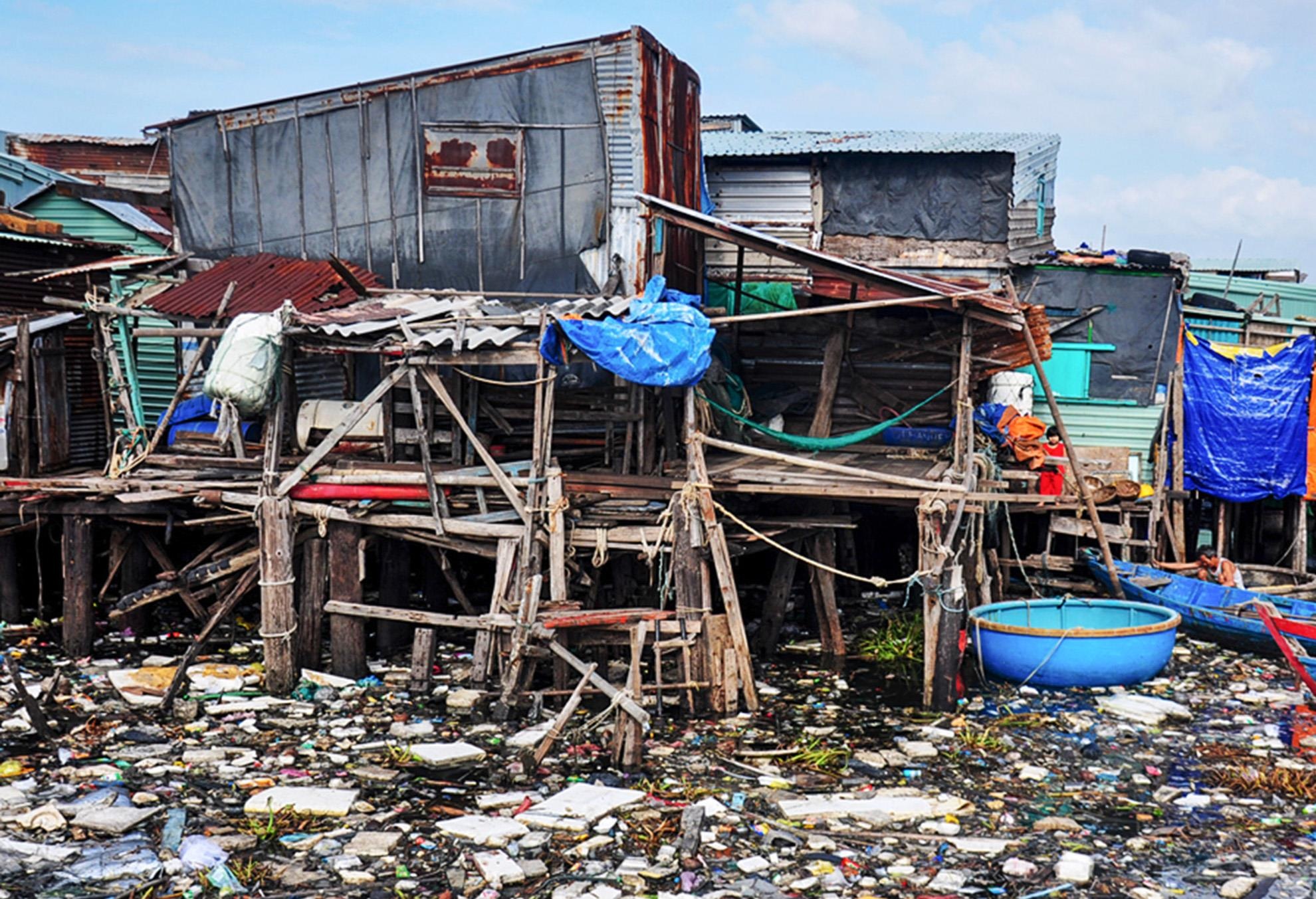 Khu o chuot o Quy Nhon anh 3