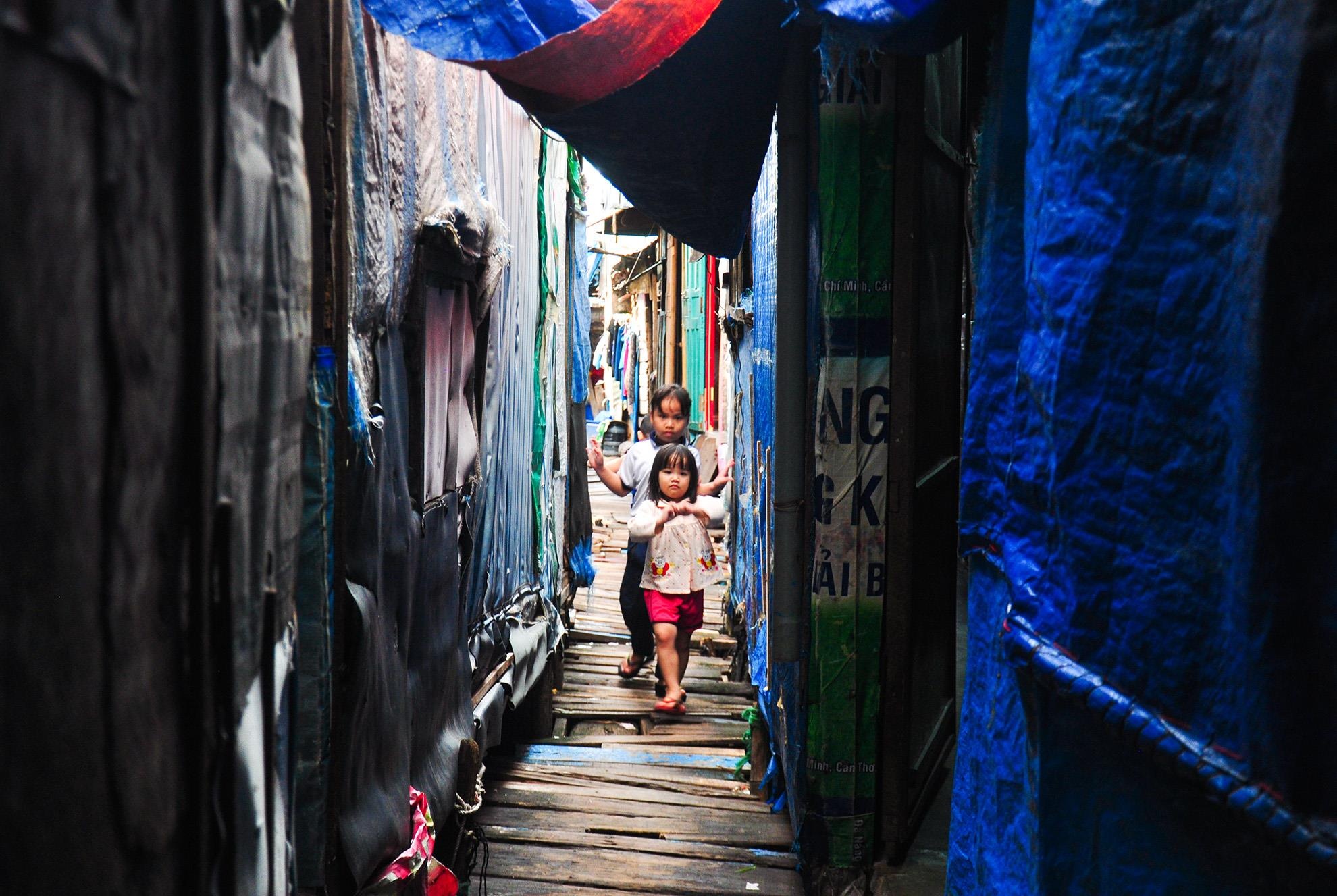 Khu o chuot o Quy Nhon anh 12