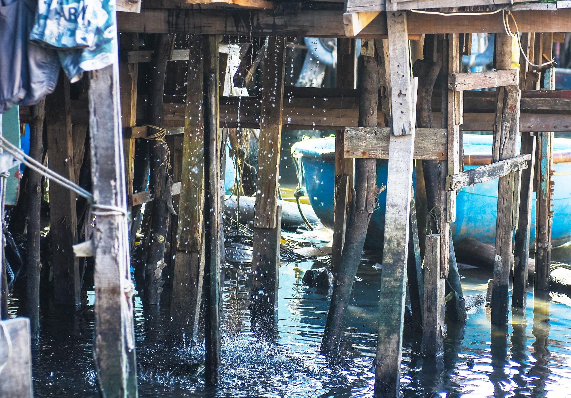 Khu o chuot o Quy Nhon anh 5