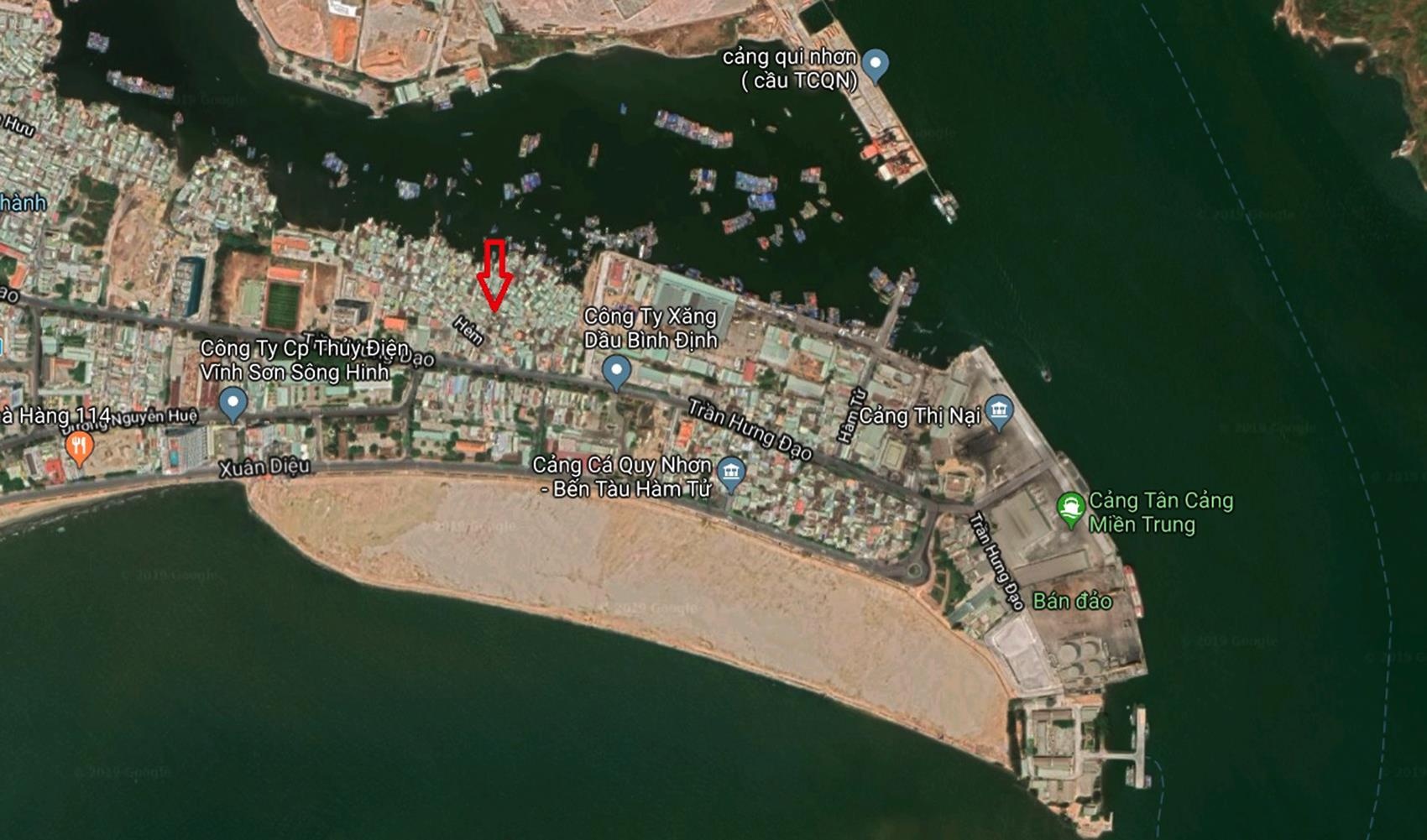 Khu o chuot o Quy Nhon anh 15