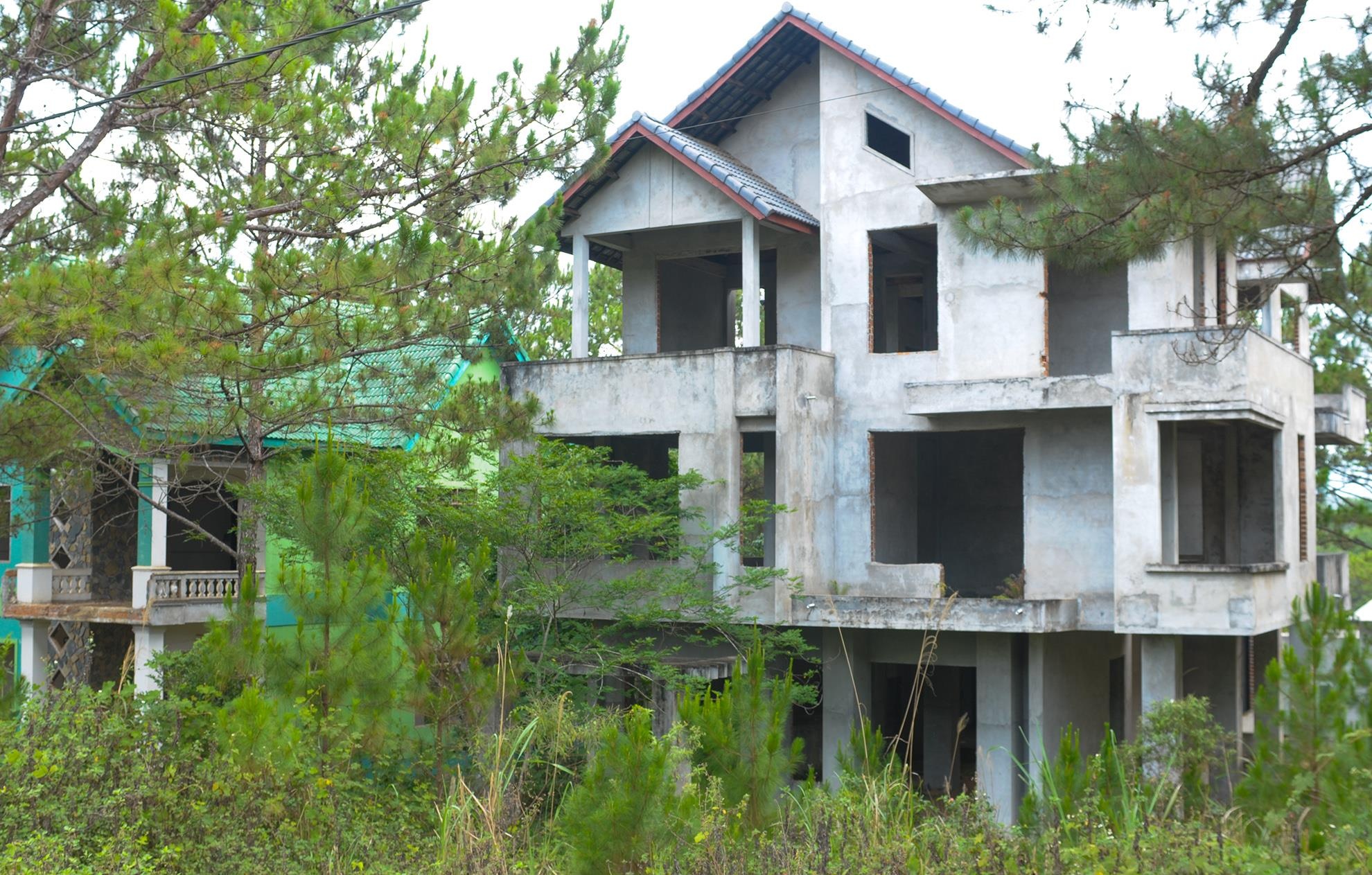 Biet thu Mang Den hoi sinh anh 1