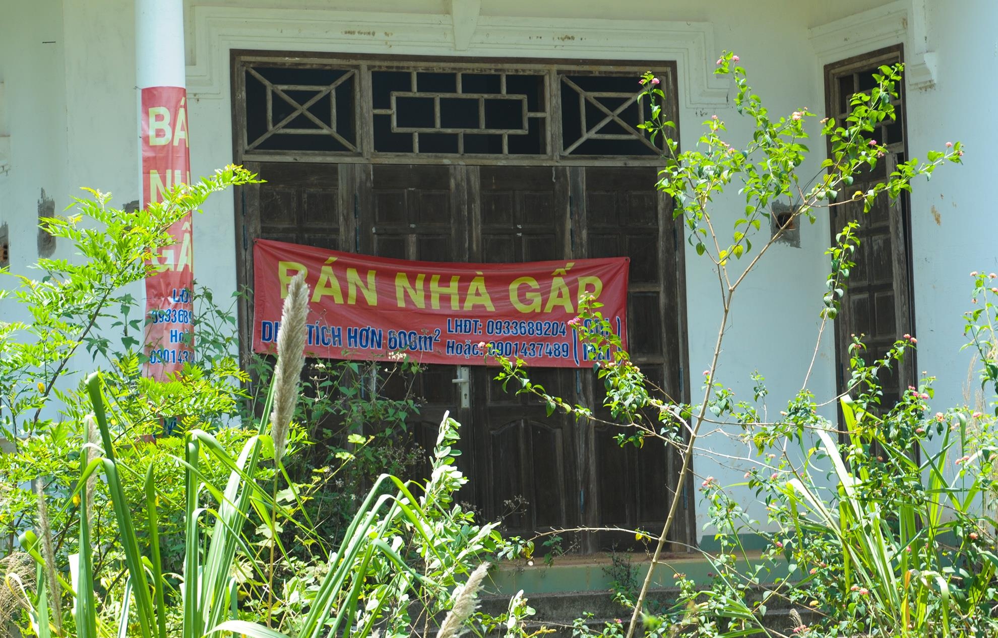 Biet thu Mang Den hoi sinh anh 2