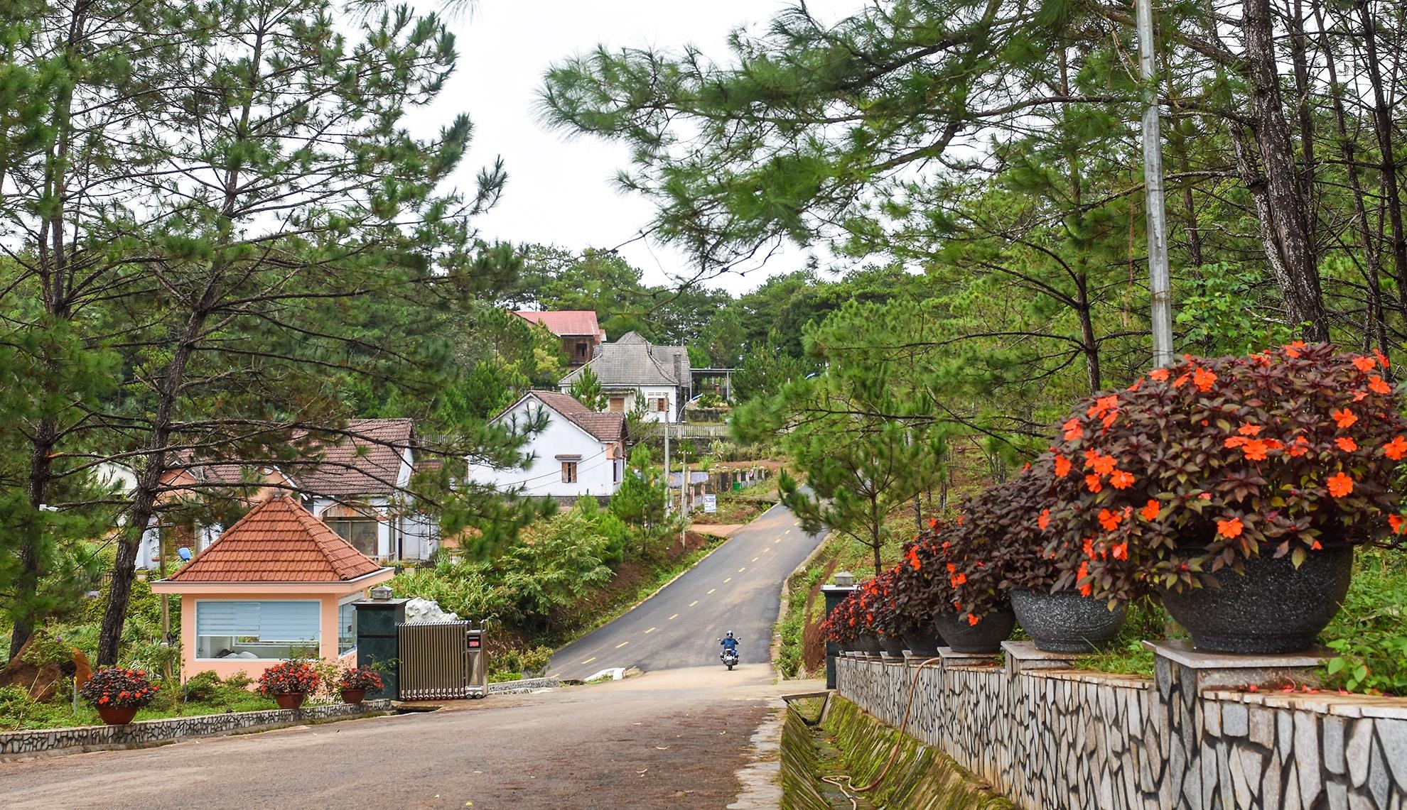 Biet thu Mang Den hoi sinh anh 13