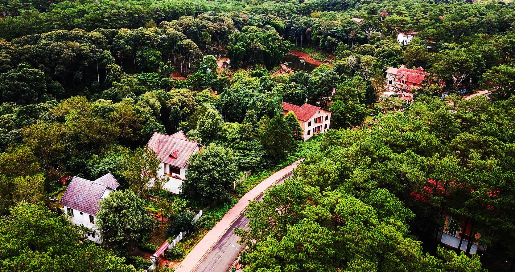 Rot tien ty hoi sinh lang biet thu Mang Den hinh anh