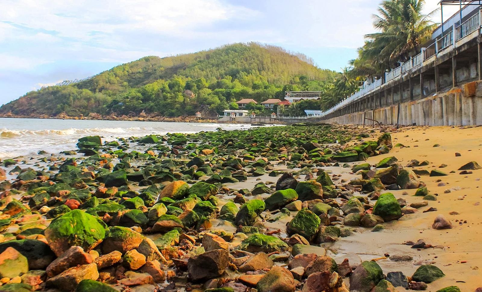 Cat vang bien mat, bai bien Quy Nhon lom chom da hoc hinh anh