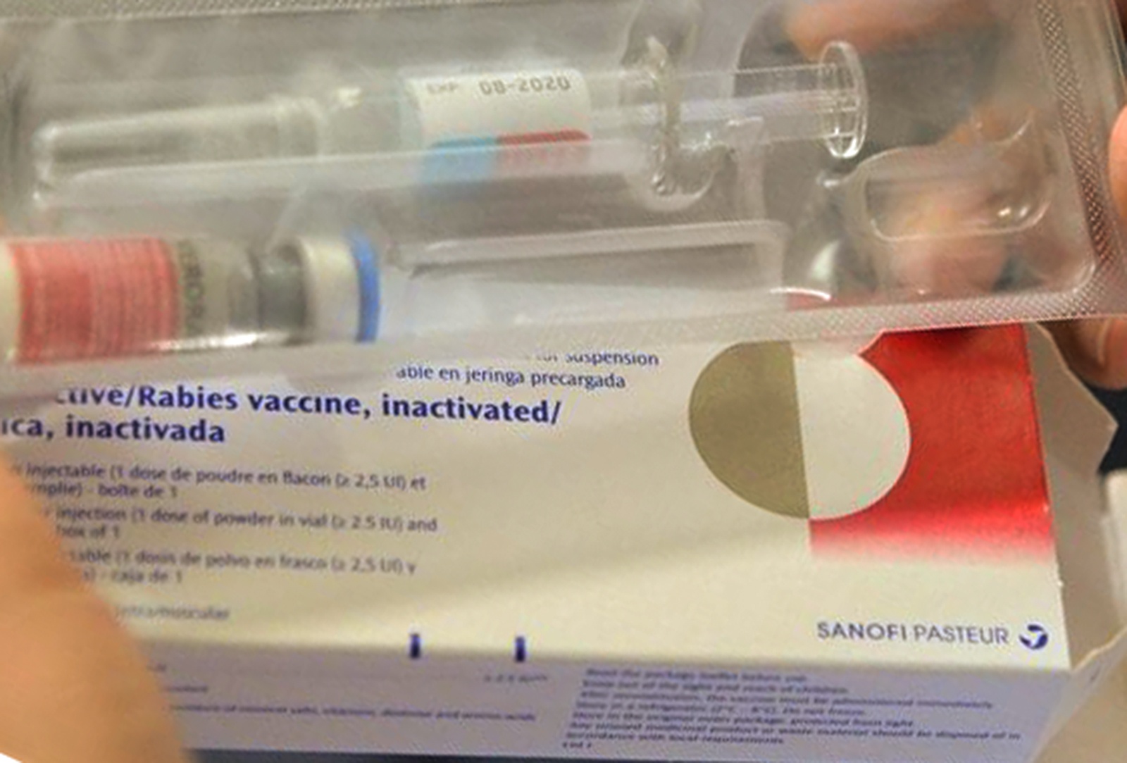 Tử vong do chó dại cắn ảnh 1 Tu vong do cho dai can anh 1