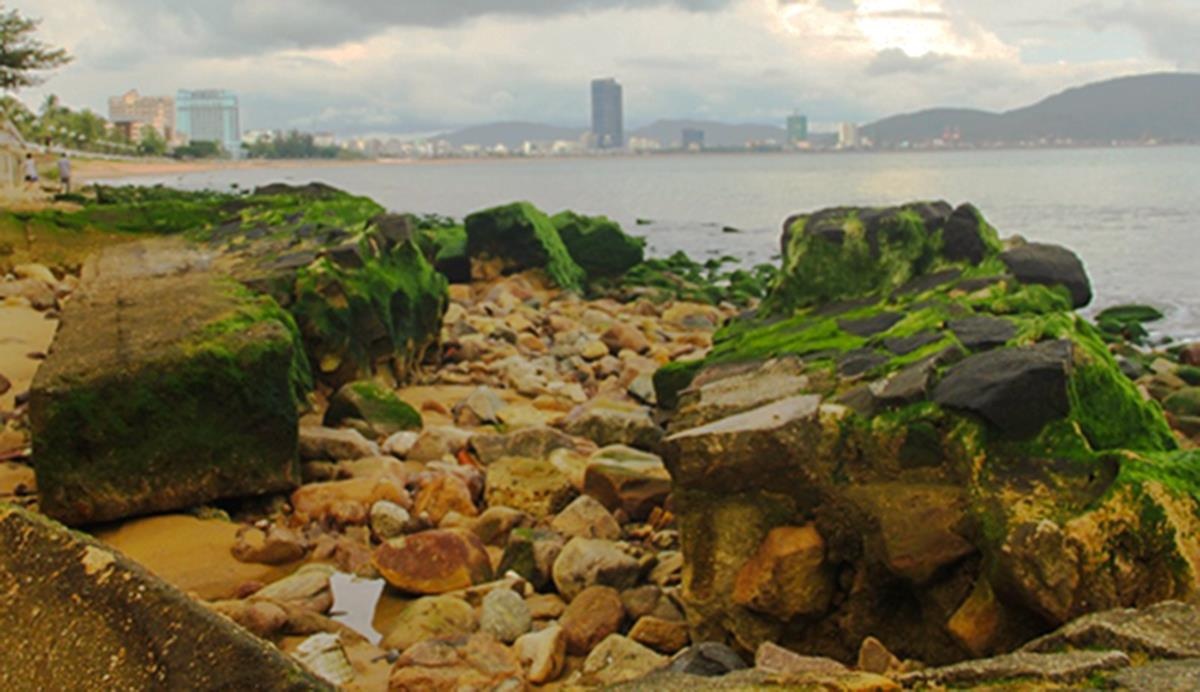 Bai da reu lo thien bat thuong o bien Quy Nhon hinh anh