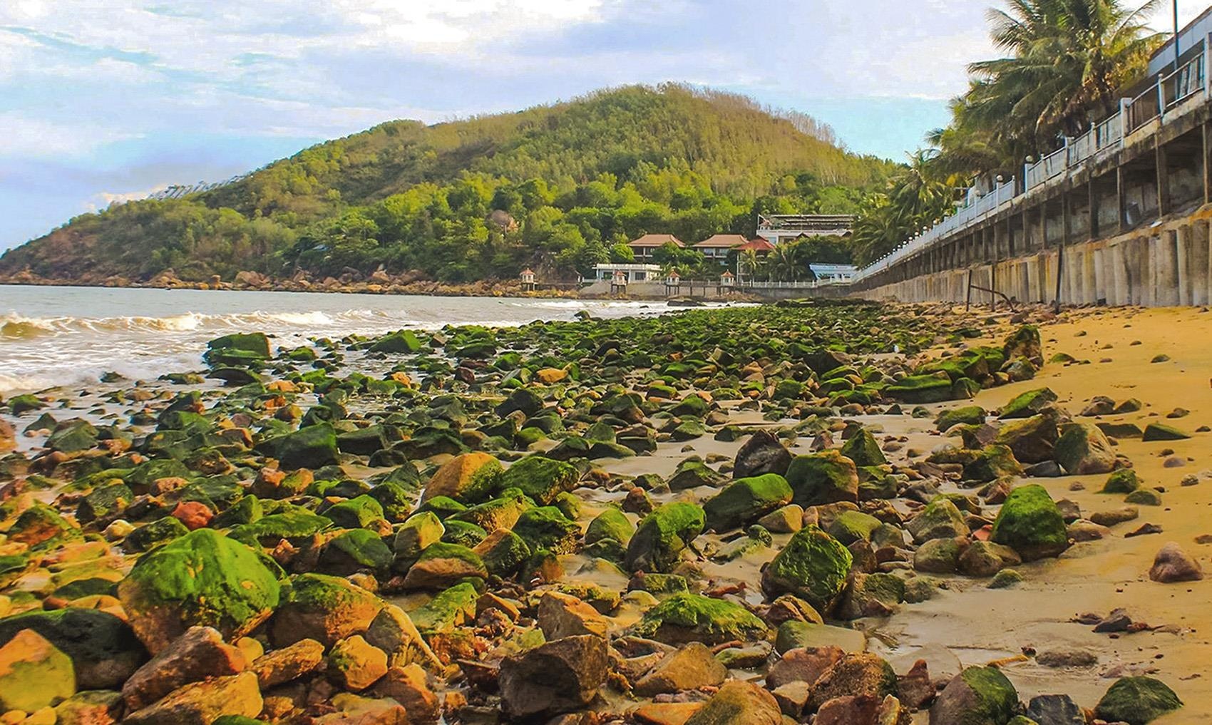 Trieu cuong bien dai cat vang thanh bai da chua tung co o Quy Nhon hinh anh