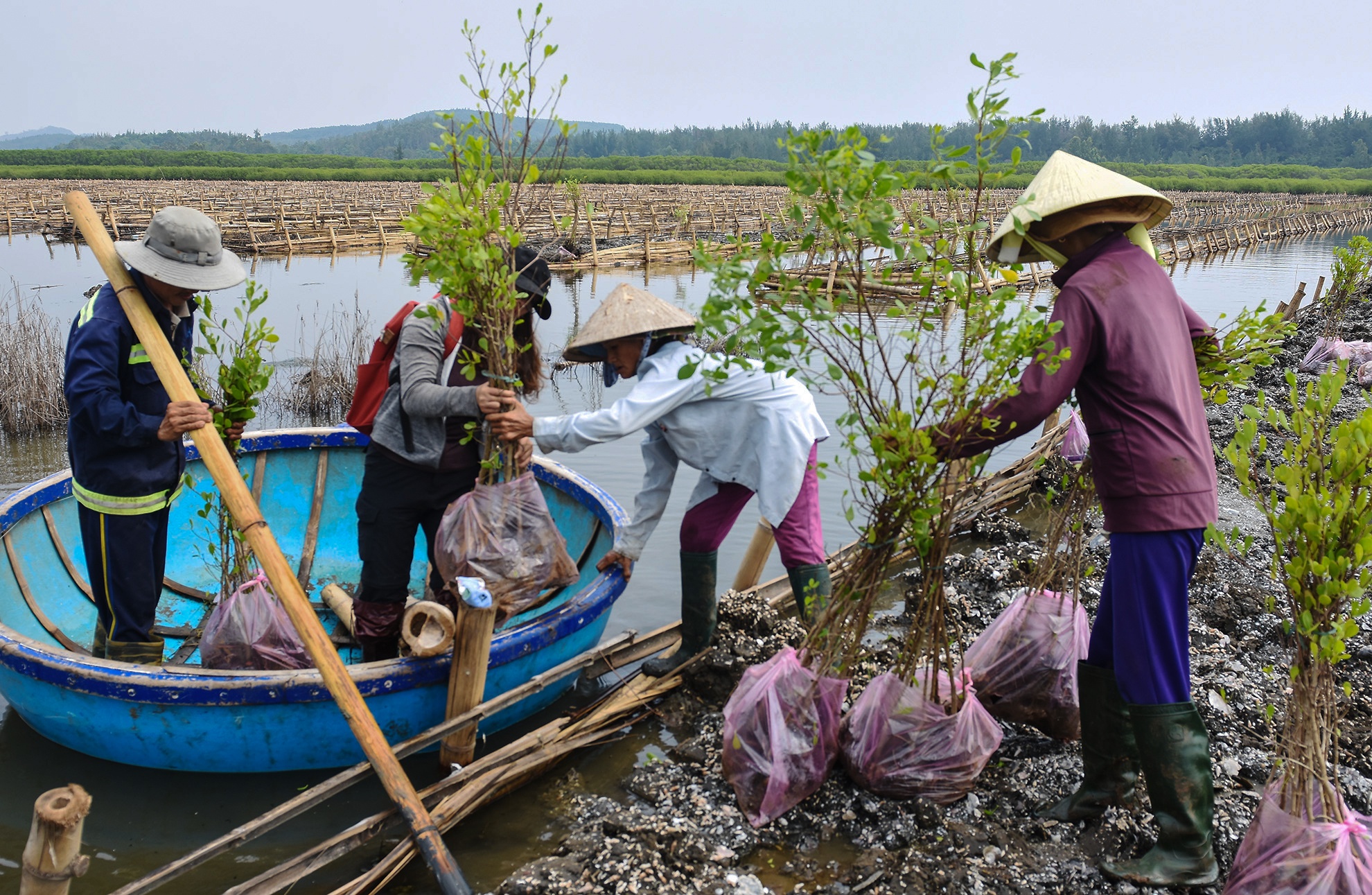 Trong rung ngap man Quang Ngai anh 9