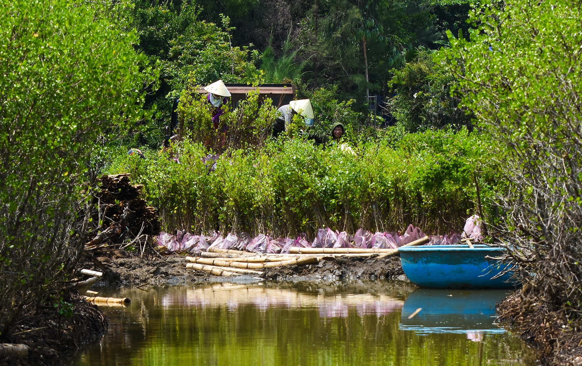 Trong rung ngap man Quang Ngai anh 7