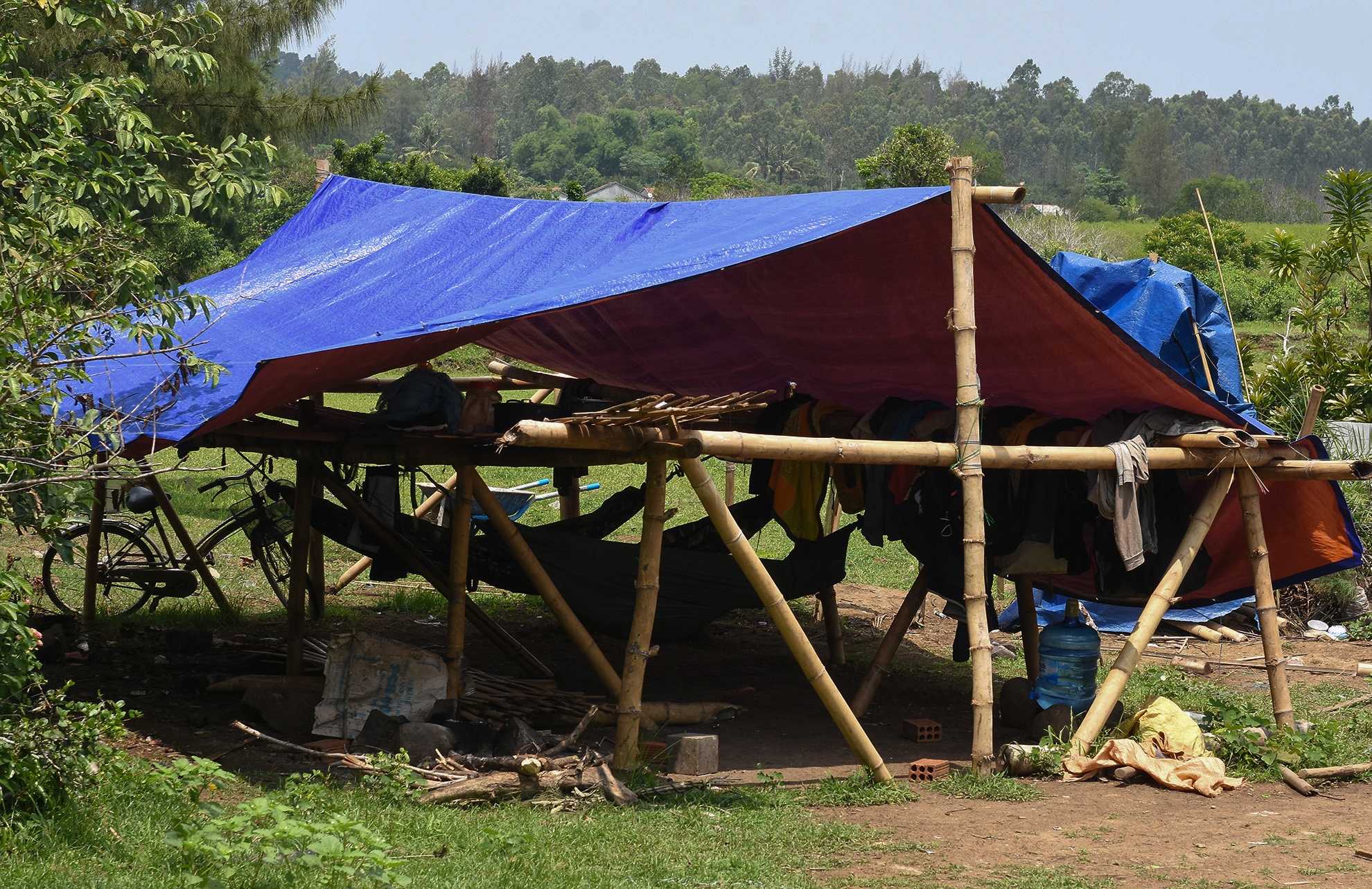 Trong rung ngap man Quang Ngai anh 4