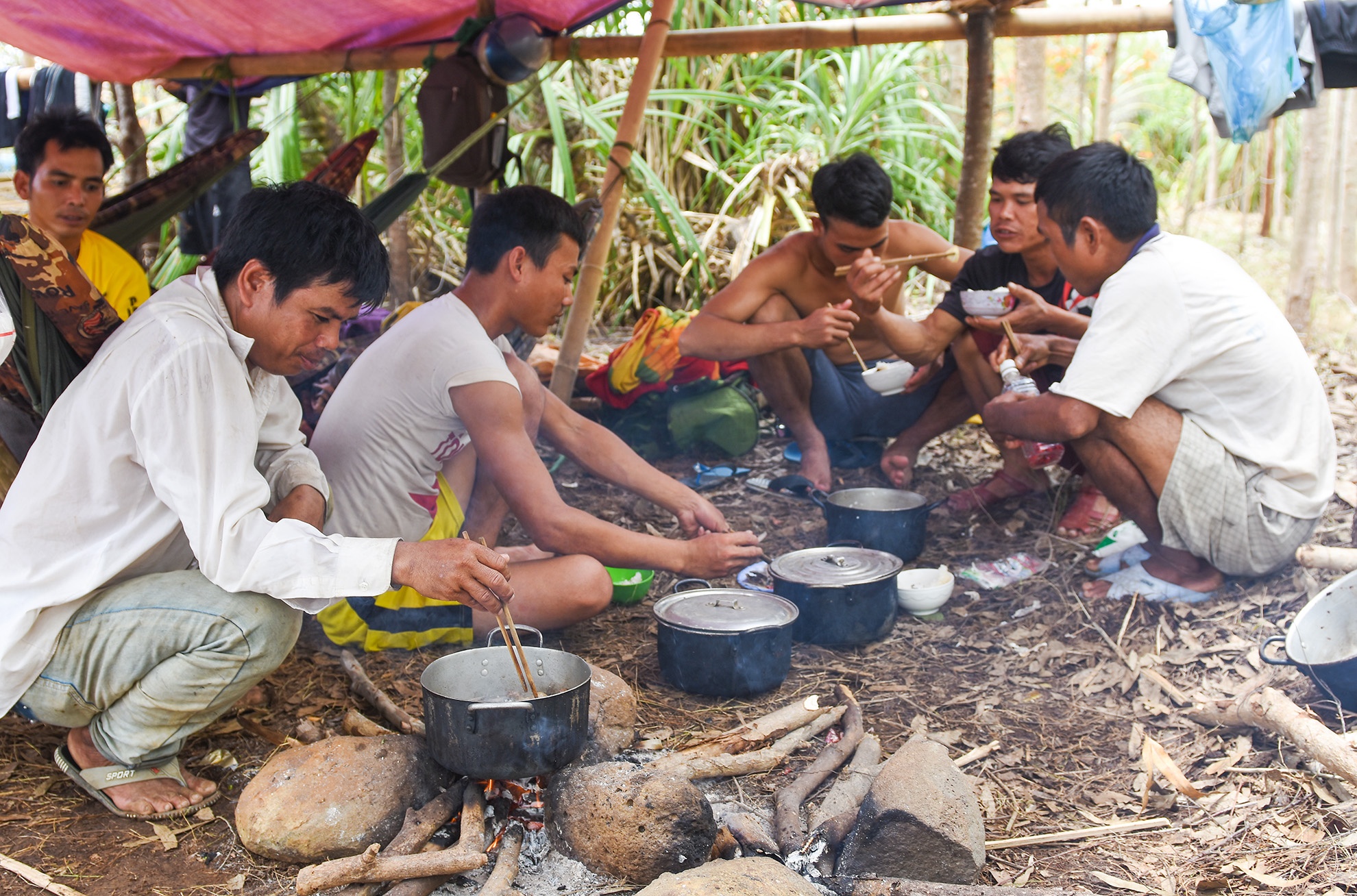 Trong rung ngap man Quang Ngai anh 6