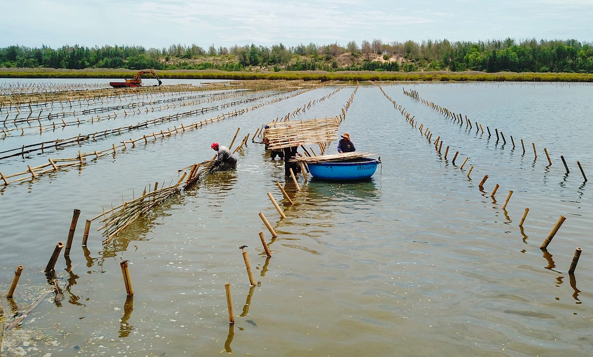 Trong rung ngap man Quang Ngai anh 2