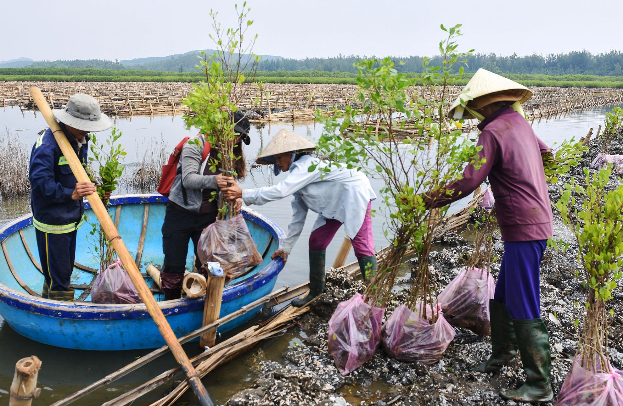 Cong nhan chay dua trong rung ngap man truoc mua mua bao hinh anh