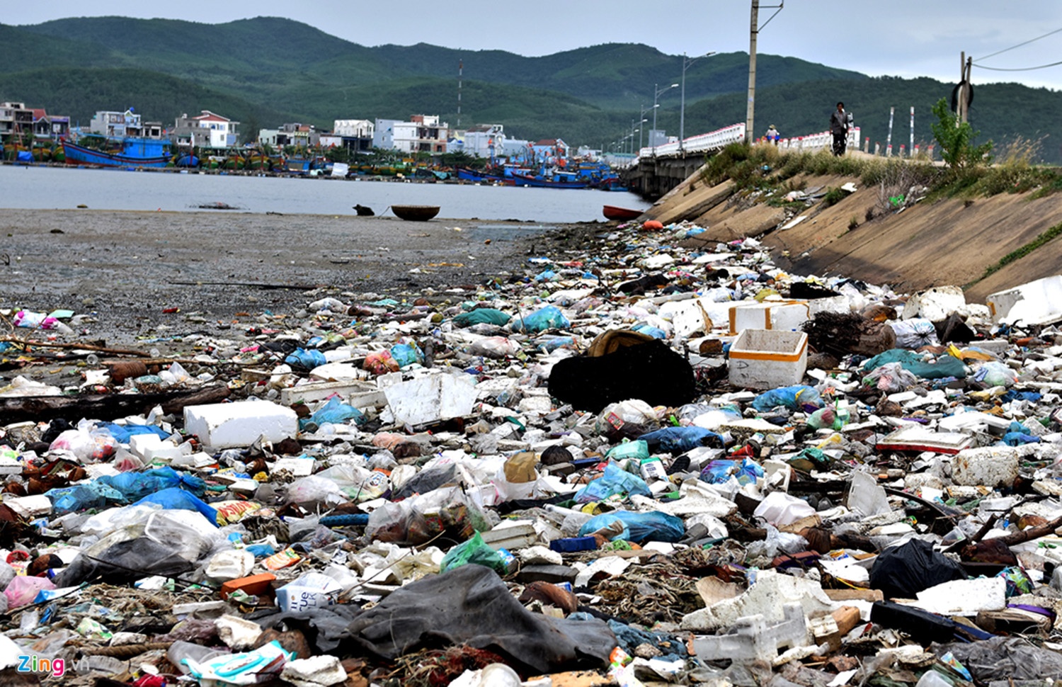 Bi thu Quang Ngai xin loi anh 2