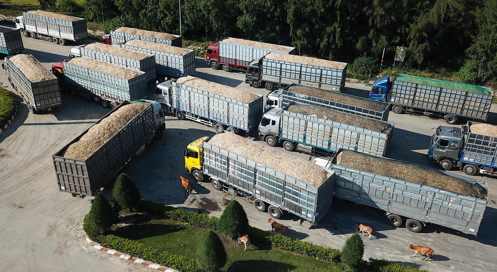 Xe tai cho go dam rong ran cho vao cang Dung Quat hinh anh