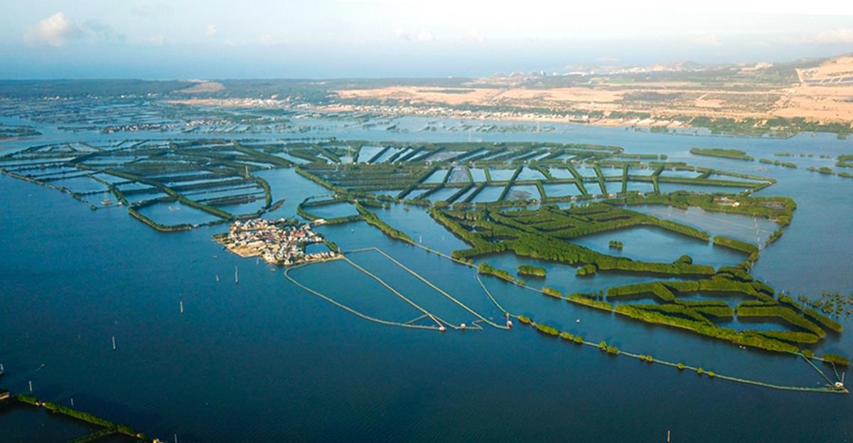 Thu hoi quyet dinh giao dat lam du an 5.000 ty o Quy Nhon hinh anh