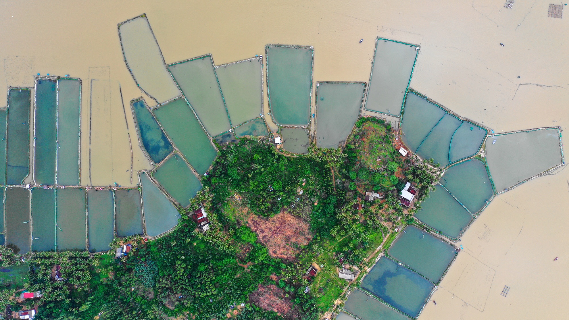 Lang ca tan hoang sau bao so 5 anh 3