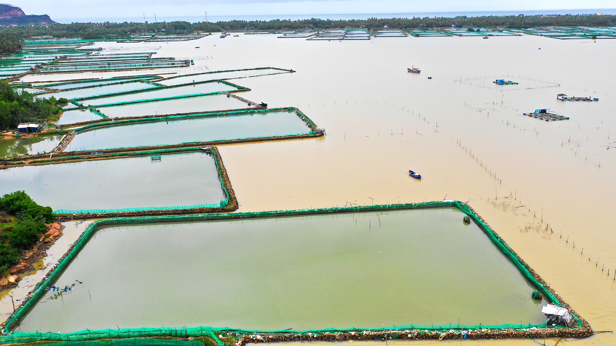 Lang ca tan hoang sau bao so 5 anh 4