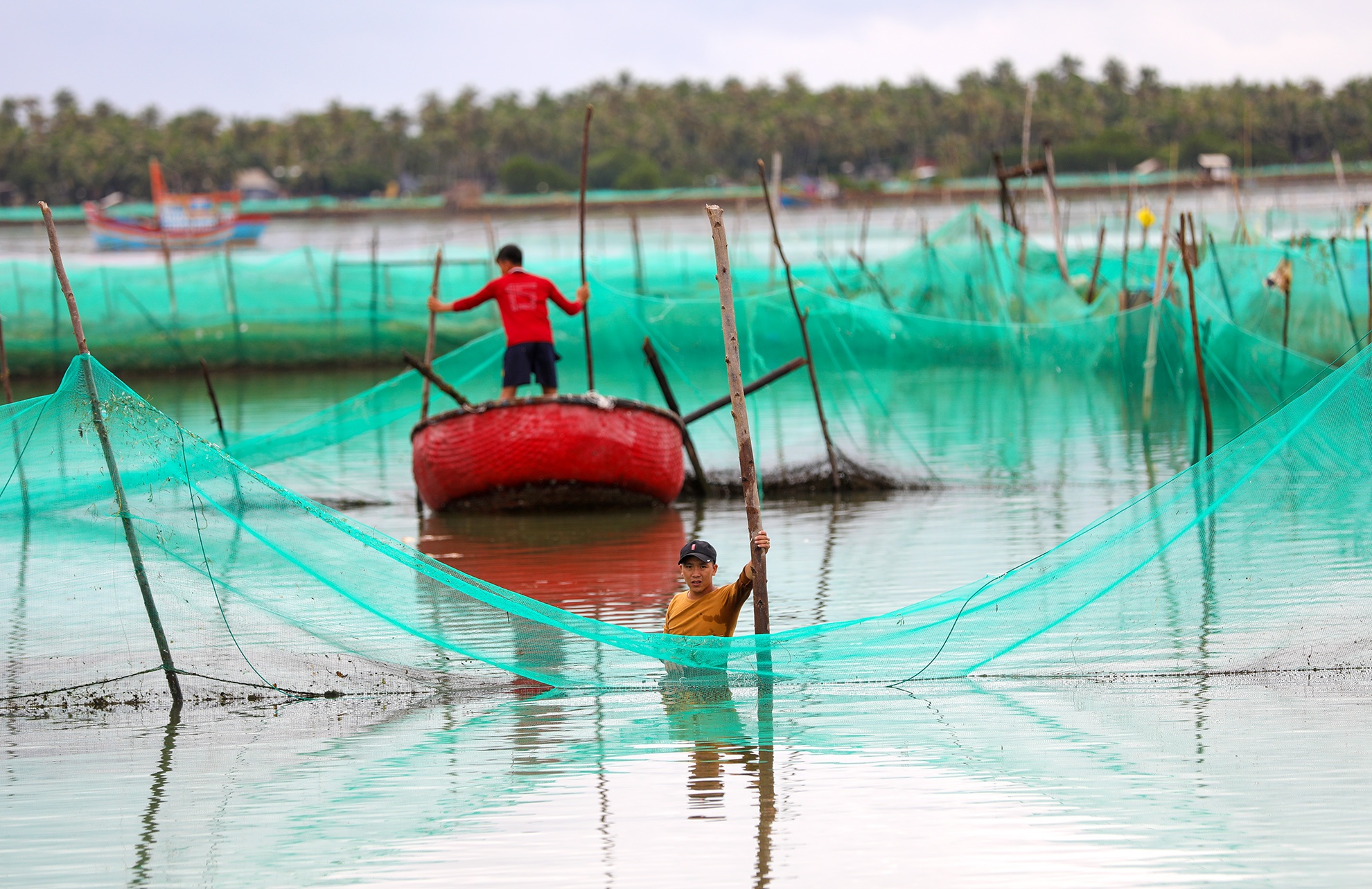 Lang ca tan hoang sau bao so 5 anh 5