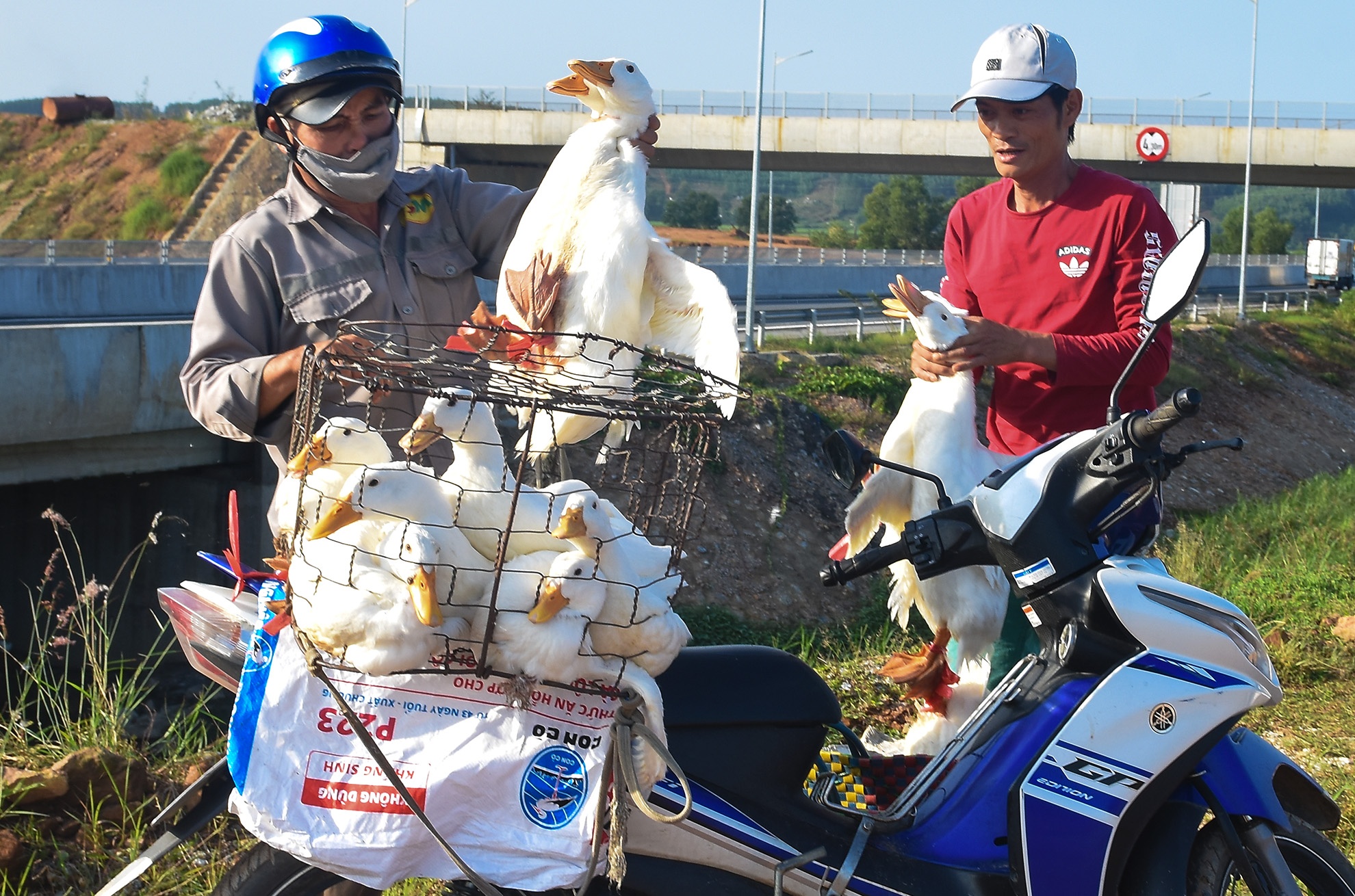 Cao toc 34.500 ty sai pham anh 1