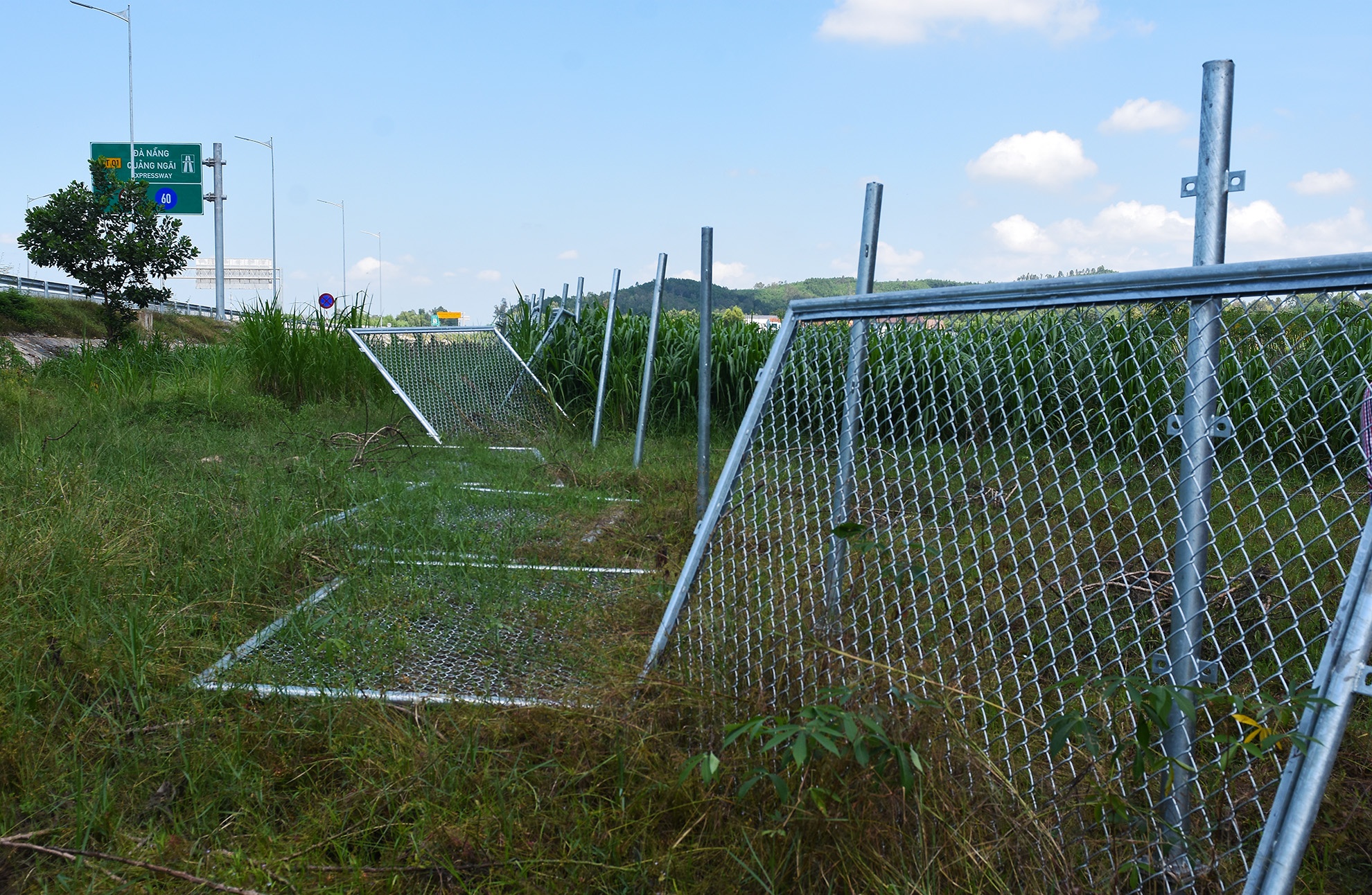 Cao toc 34.500 ty sai pham anh 6