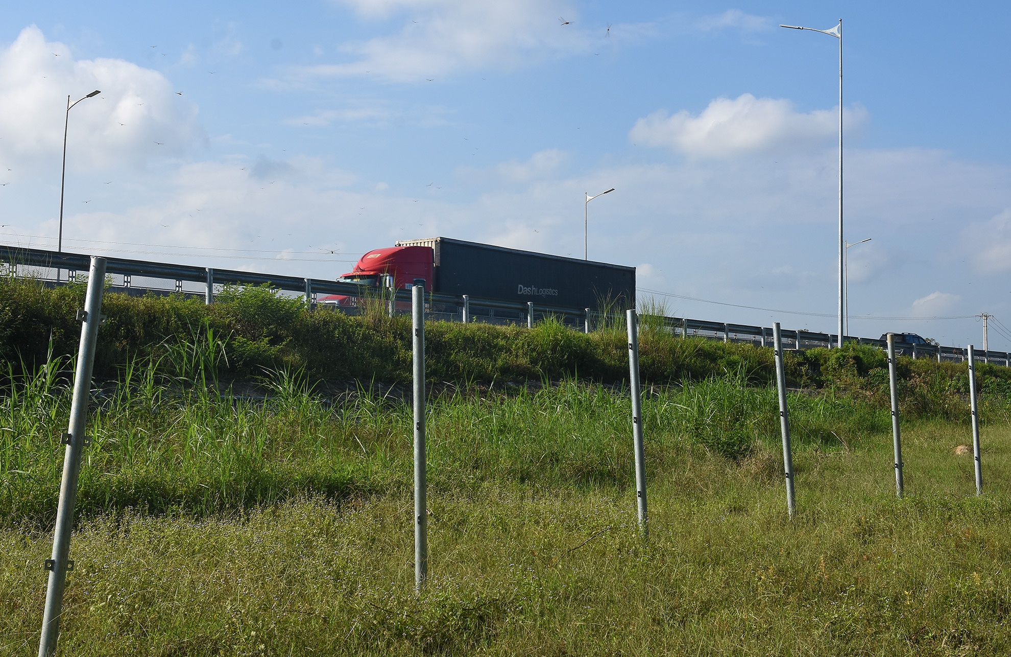 Cao toc 34.500 ty sai pham anh 7