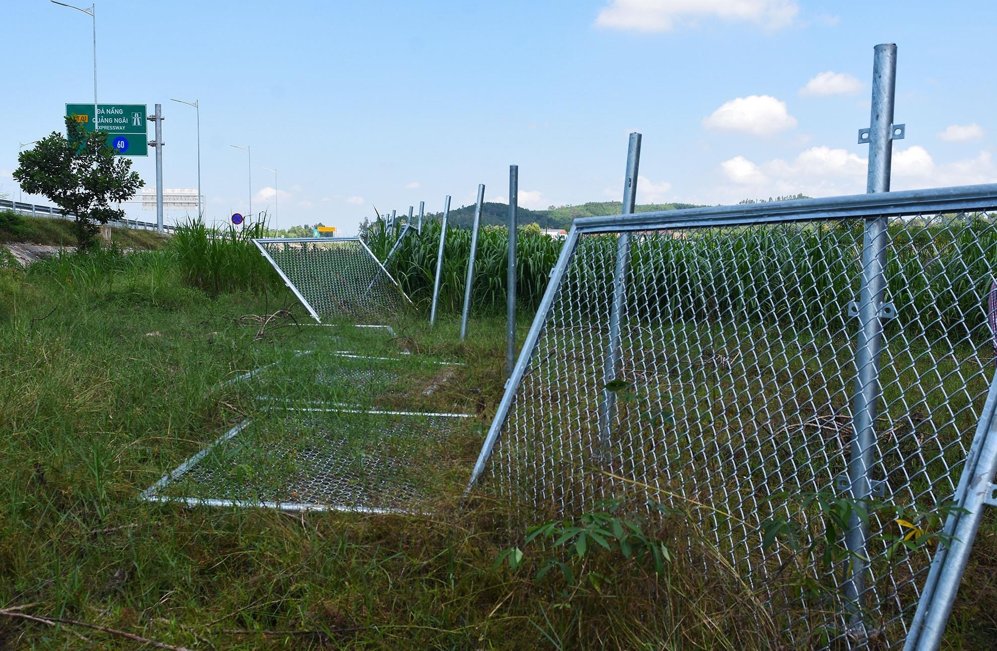 Rao chan ngon ngang tren cao toc 34.500 ty hinh anh