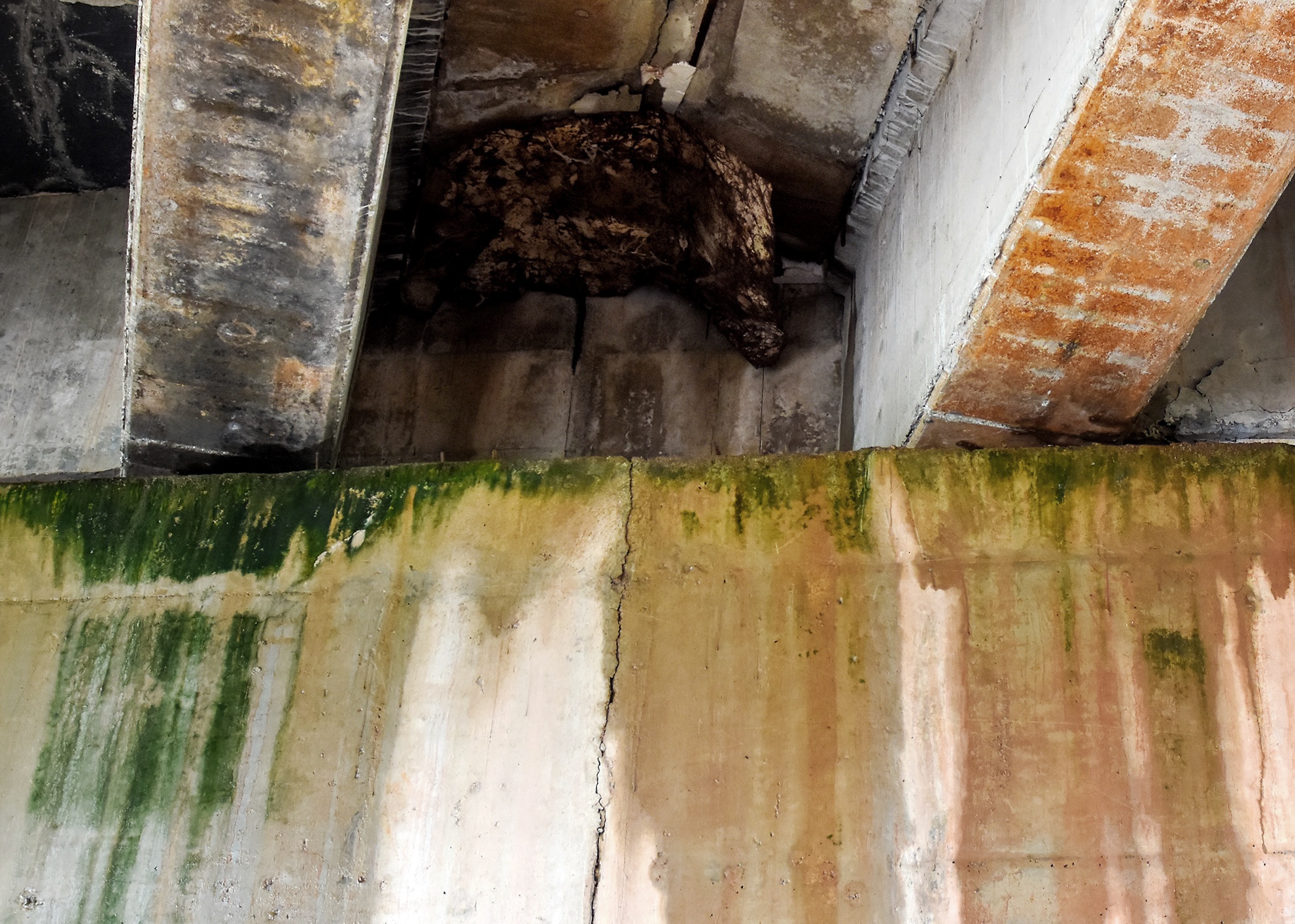 Cao toc 34.500 ty tham dot anh 4