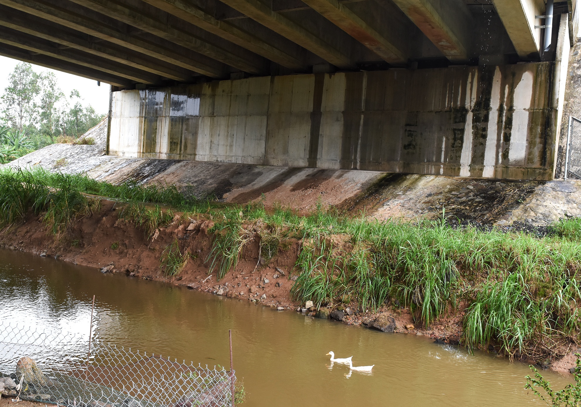 Cao toc 34.500 ty tham dot anh 8