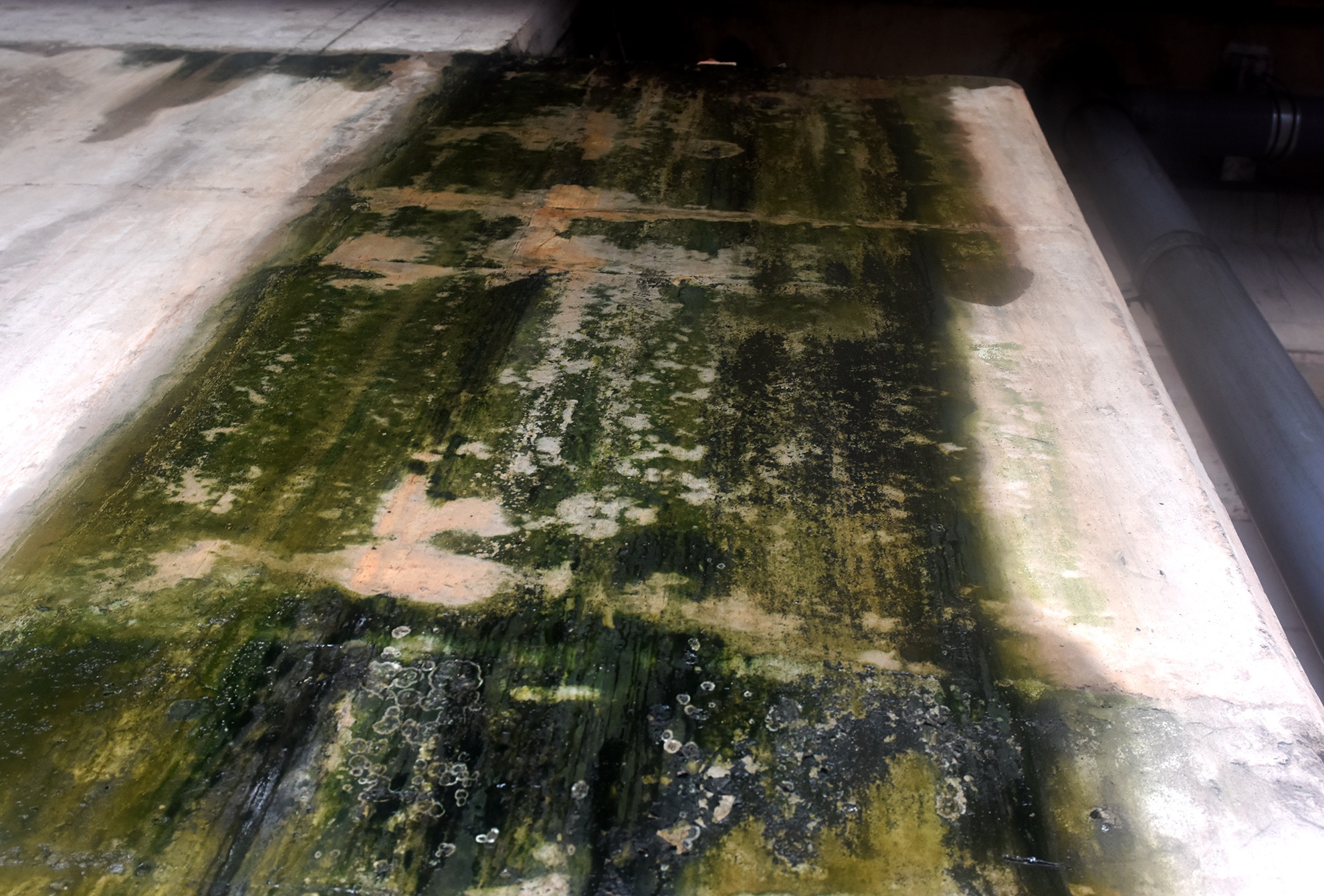 Cao toc 34.500 ty tham dot anh 3